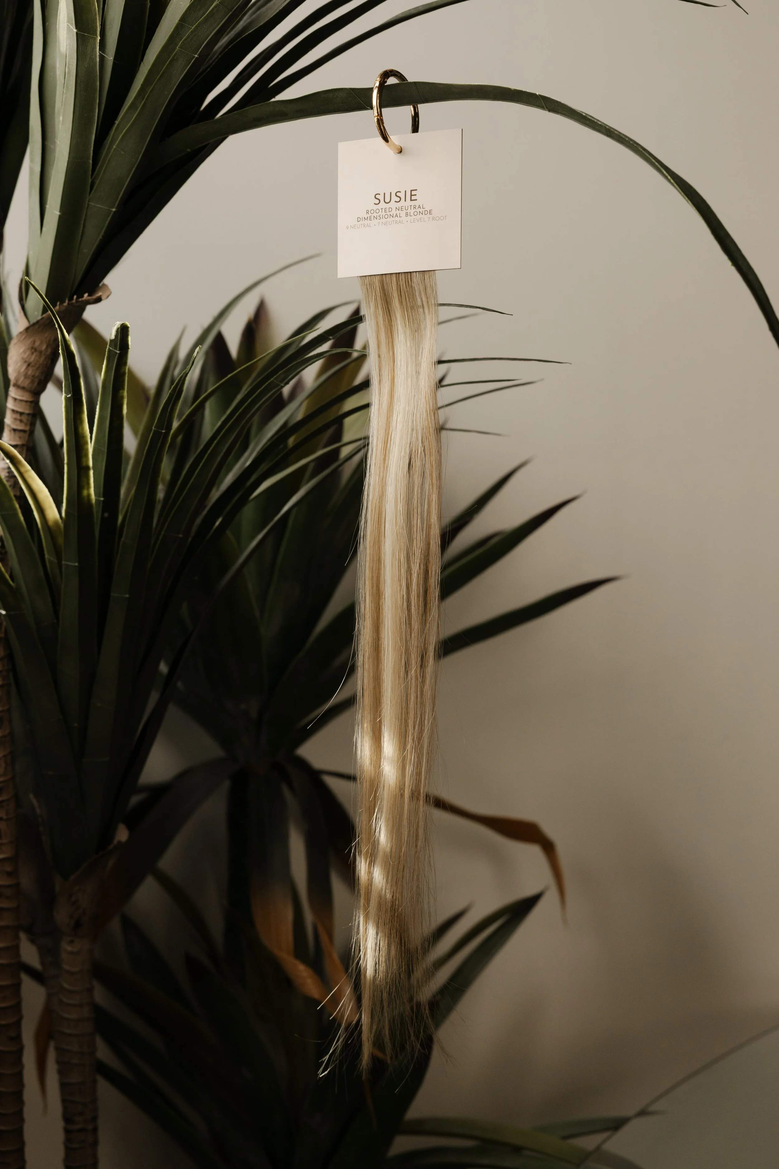 sol-strands-31.jpg (Copy)