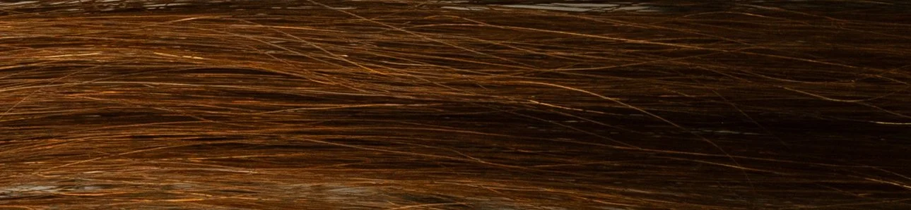 Close-up of brown hair strands.