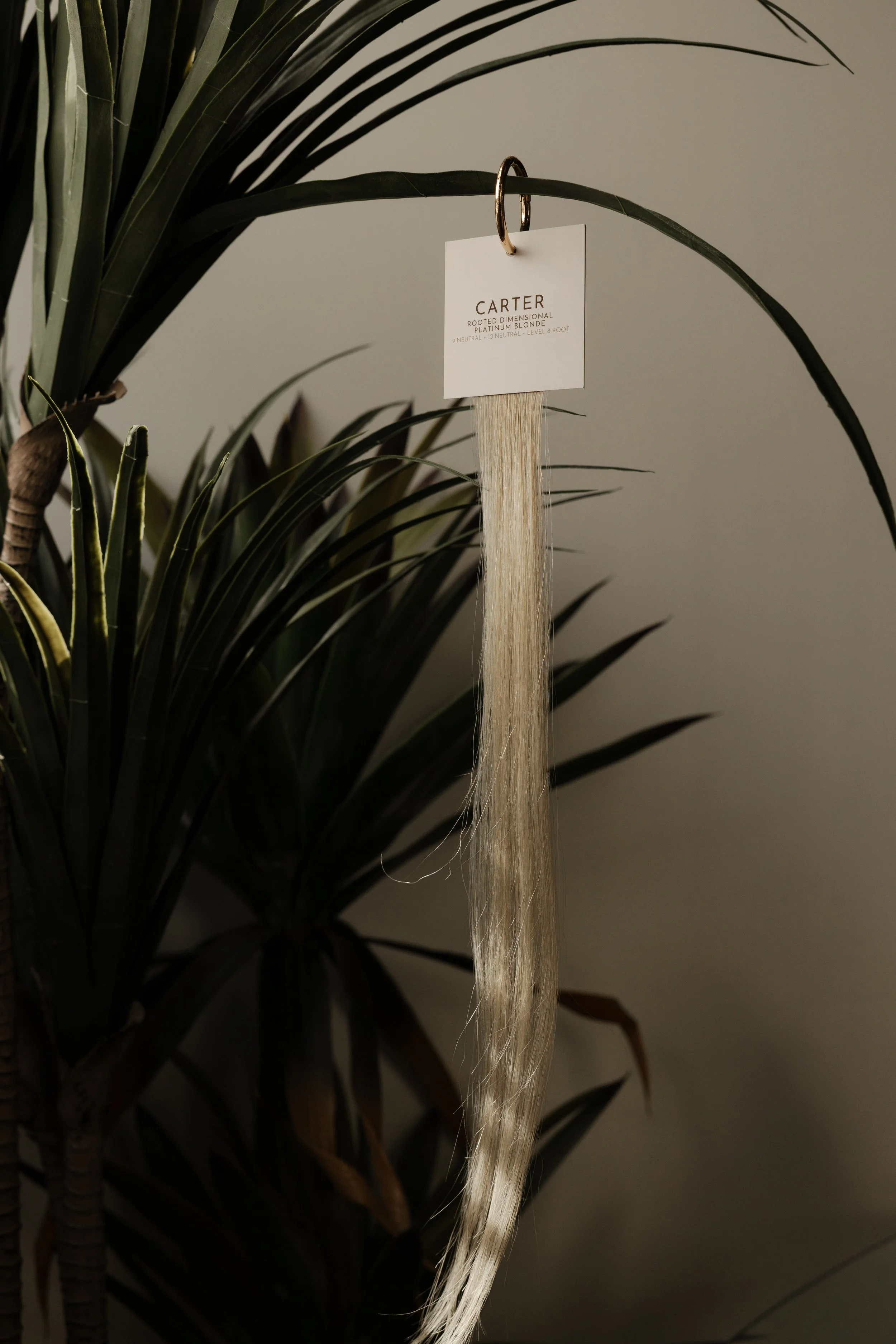 A close-up of a real palm plant with a white hair extension tied to a ring on a tag labeled 'Carter' hanging from one of the leaves.