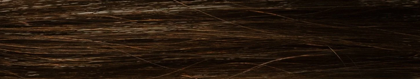 Close-up of brown hair with light reflecting off strands
