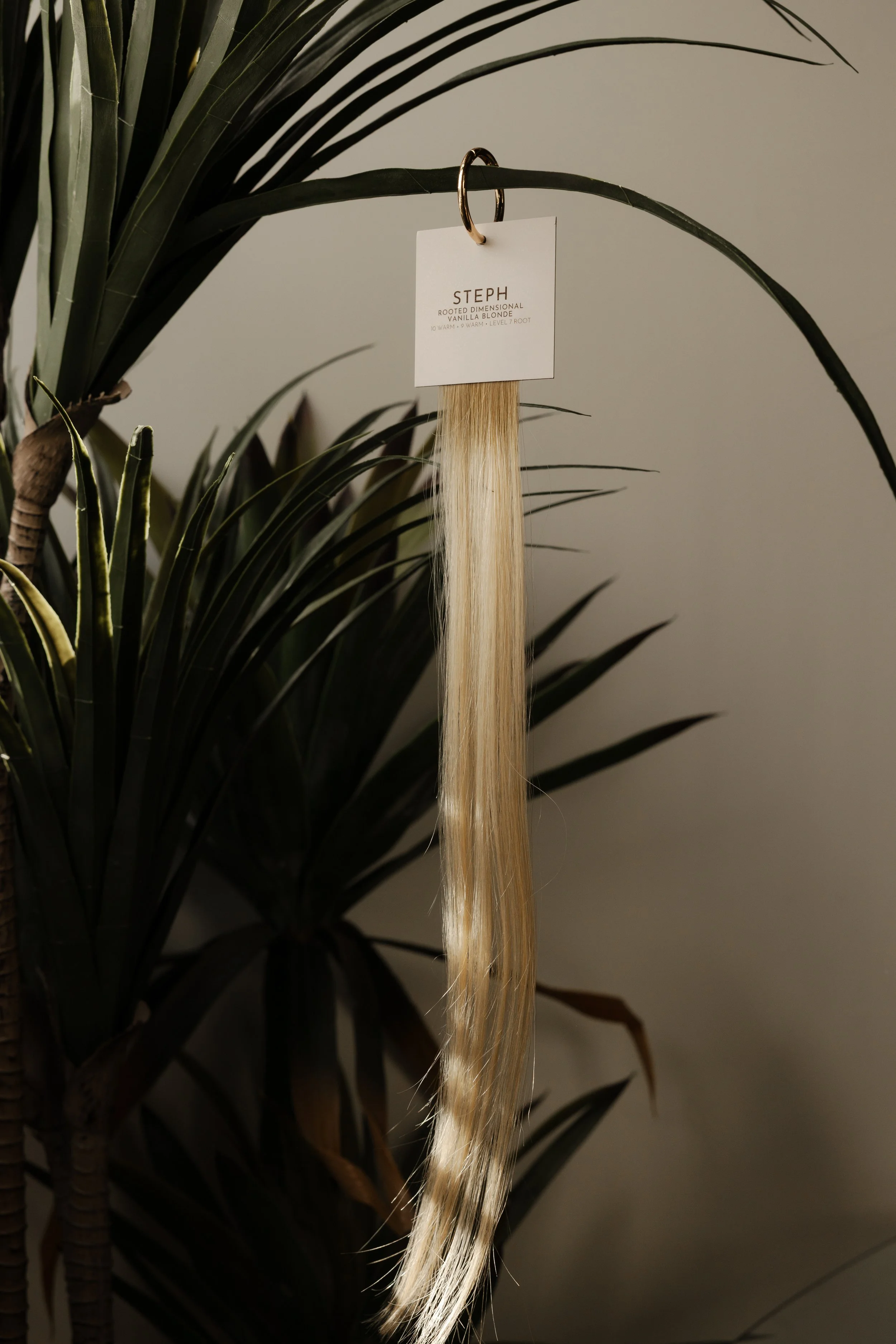 sol-strands-21.jpg (Copy)