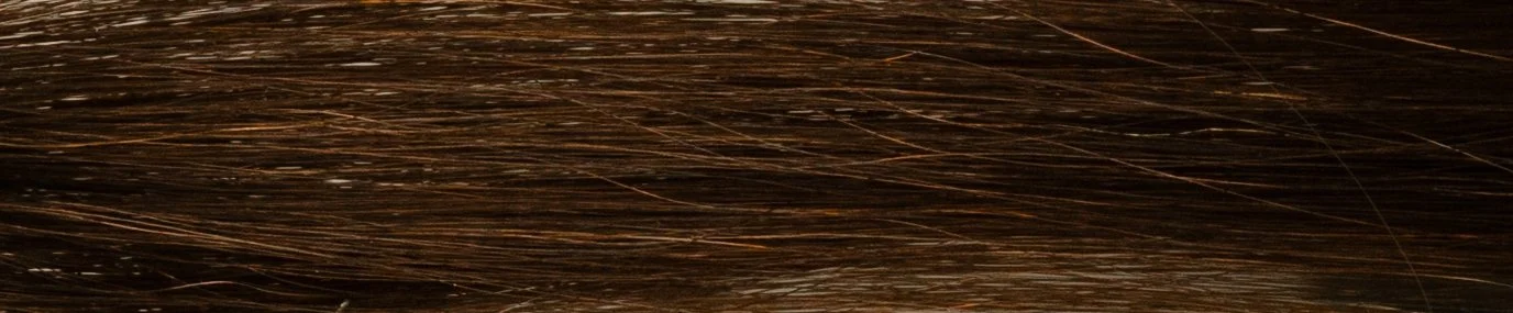 Close-up image of dark brown hair with fine strands.