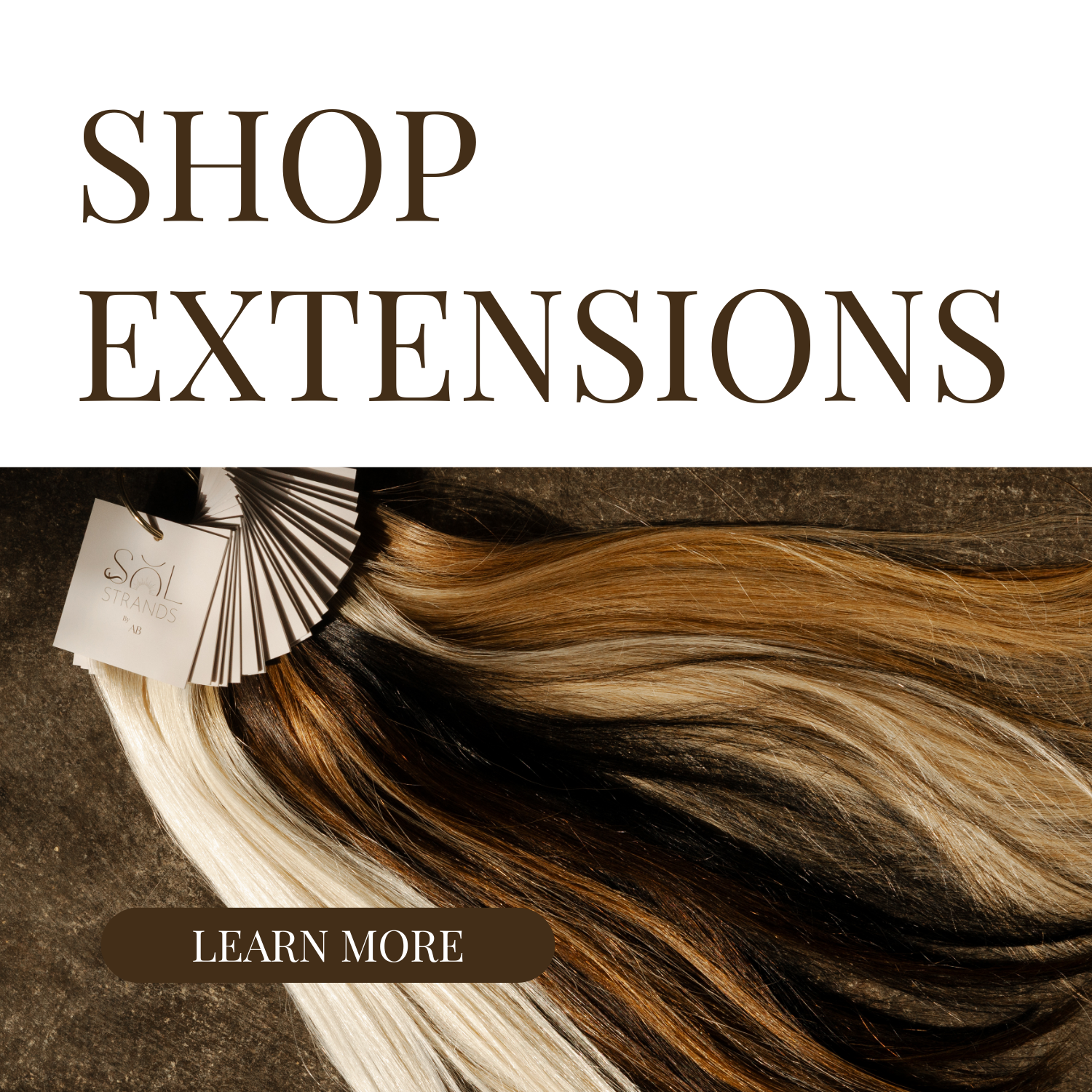 Photo of hair color samples fanned out with a 'Shop Extensions' text overlay and a 'Learn More' button.