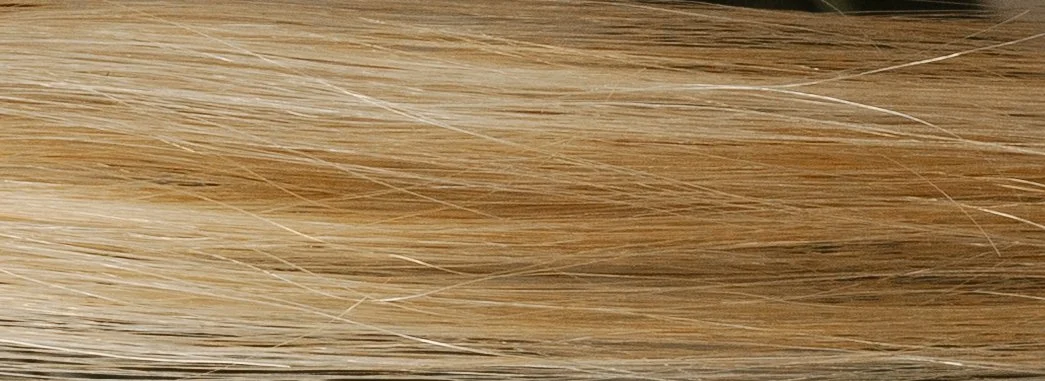 Close-up of blonde hair strands with highlights and texture.