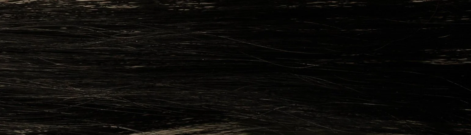 Close-up of dark, shiny hair with visible strands.