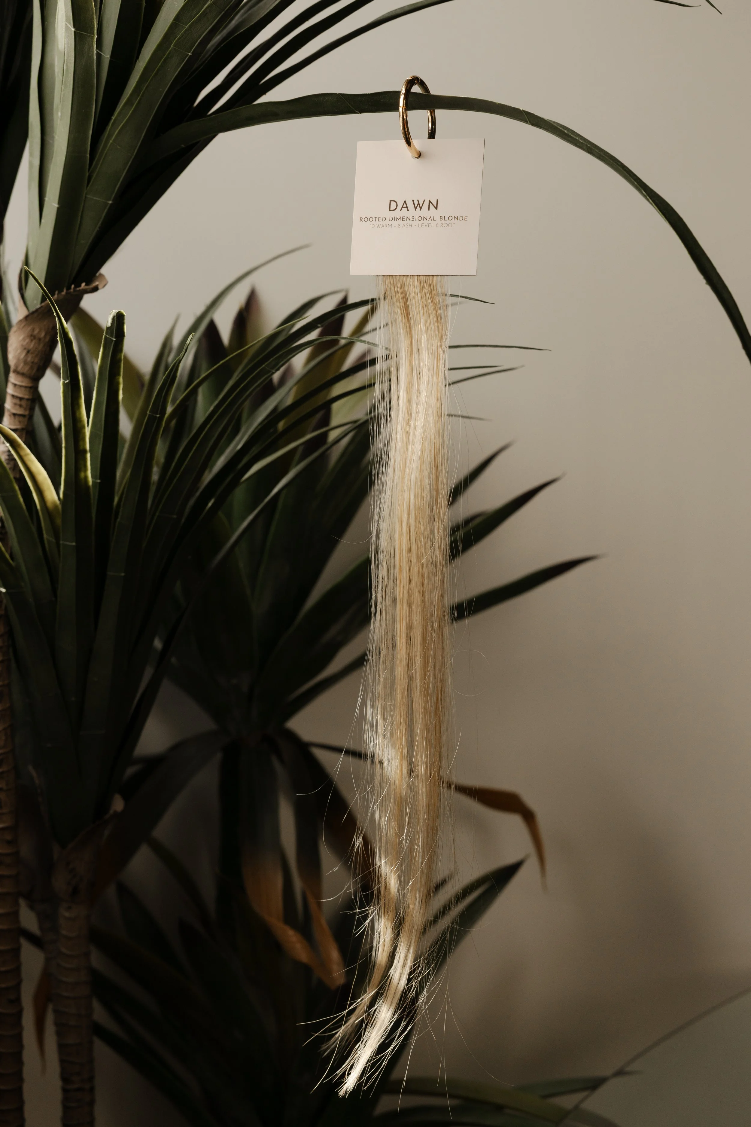 DAWN - ROOTED DIMENSIONAL BLONDE