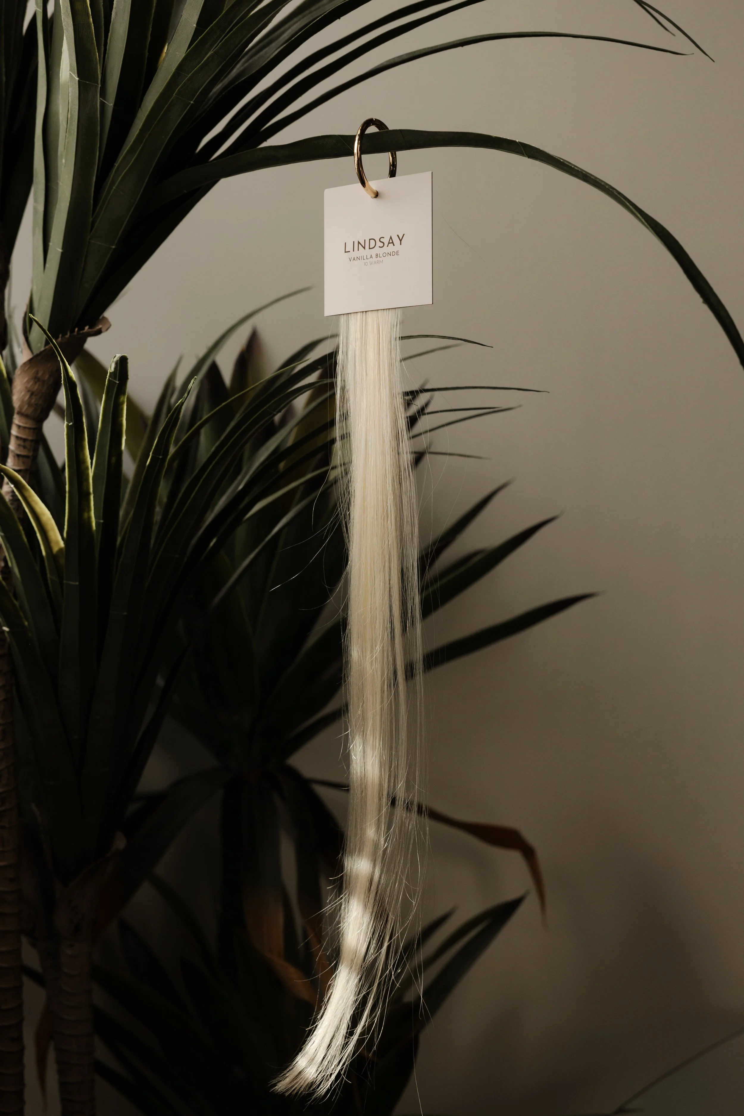 sol-strands-18.jpg (Copy)