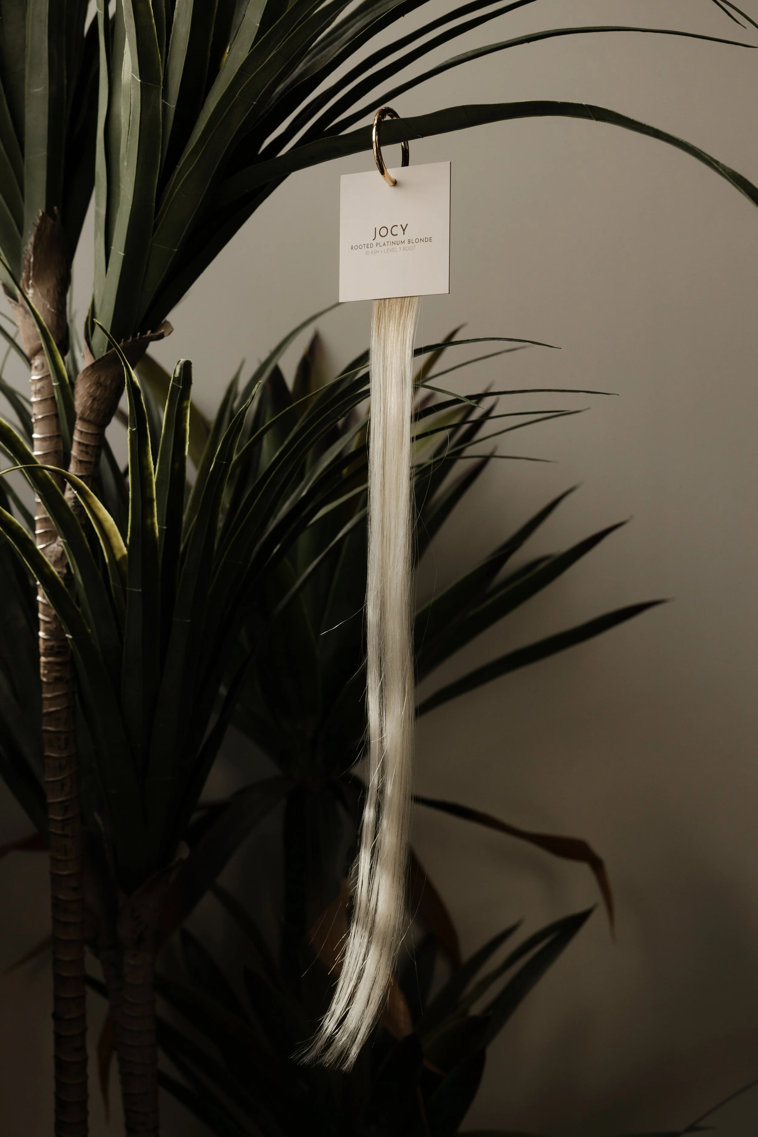 sol-strands-17.jpg (Copy)