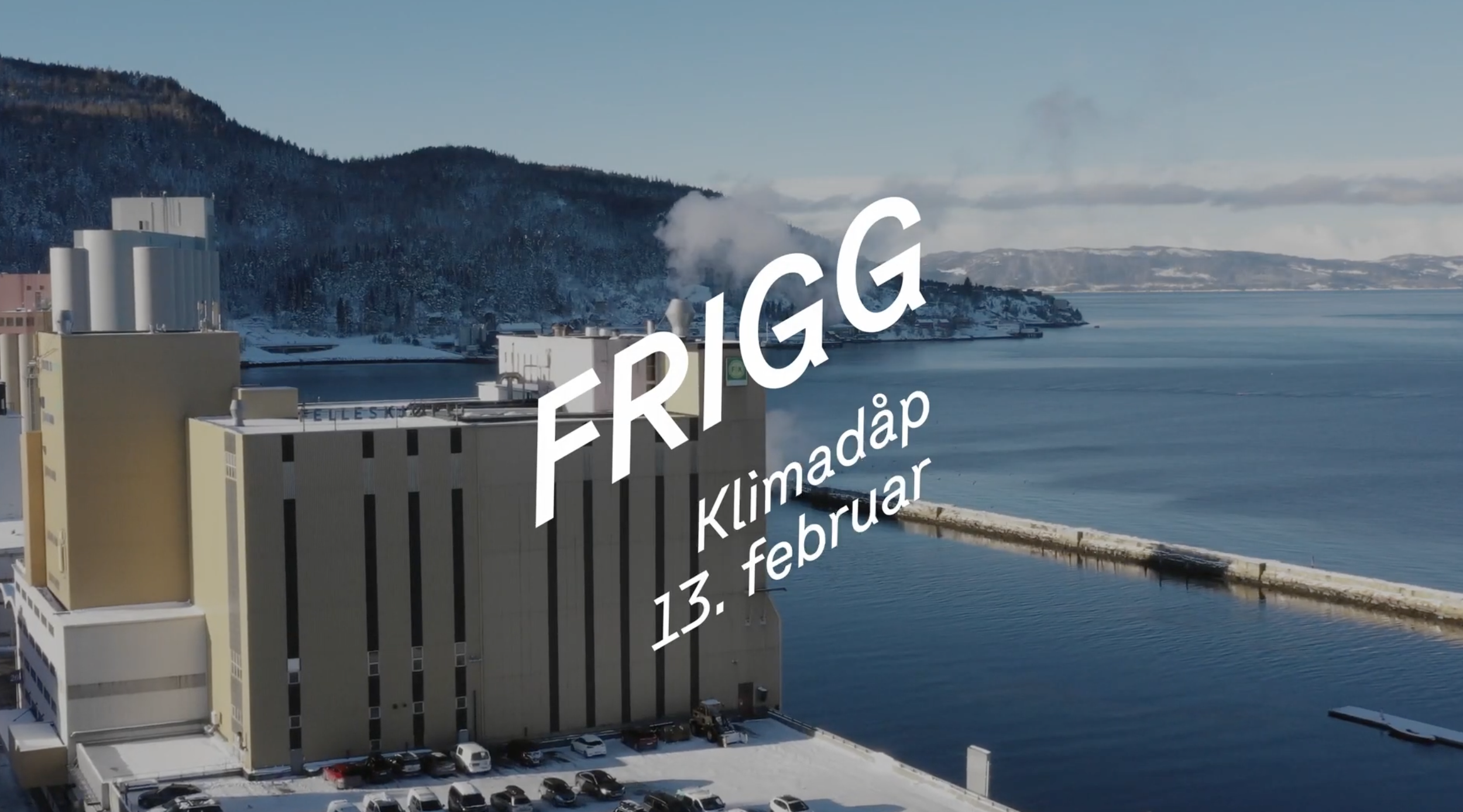 Felleskjøpet x Aneo