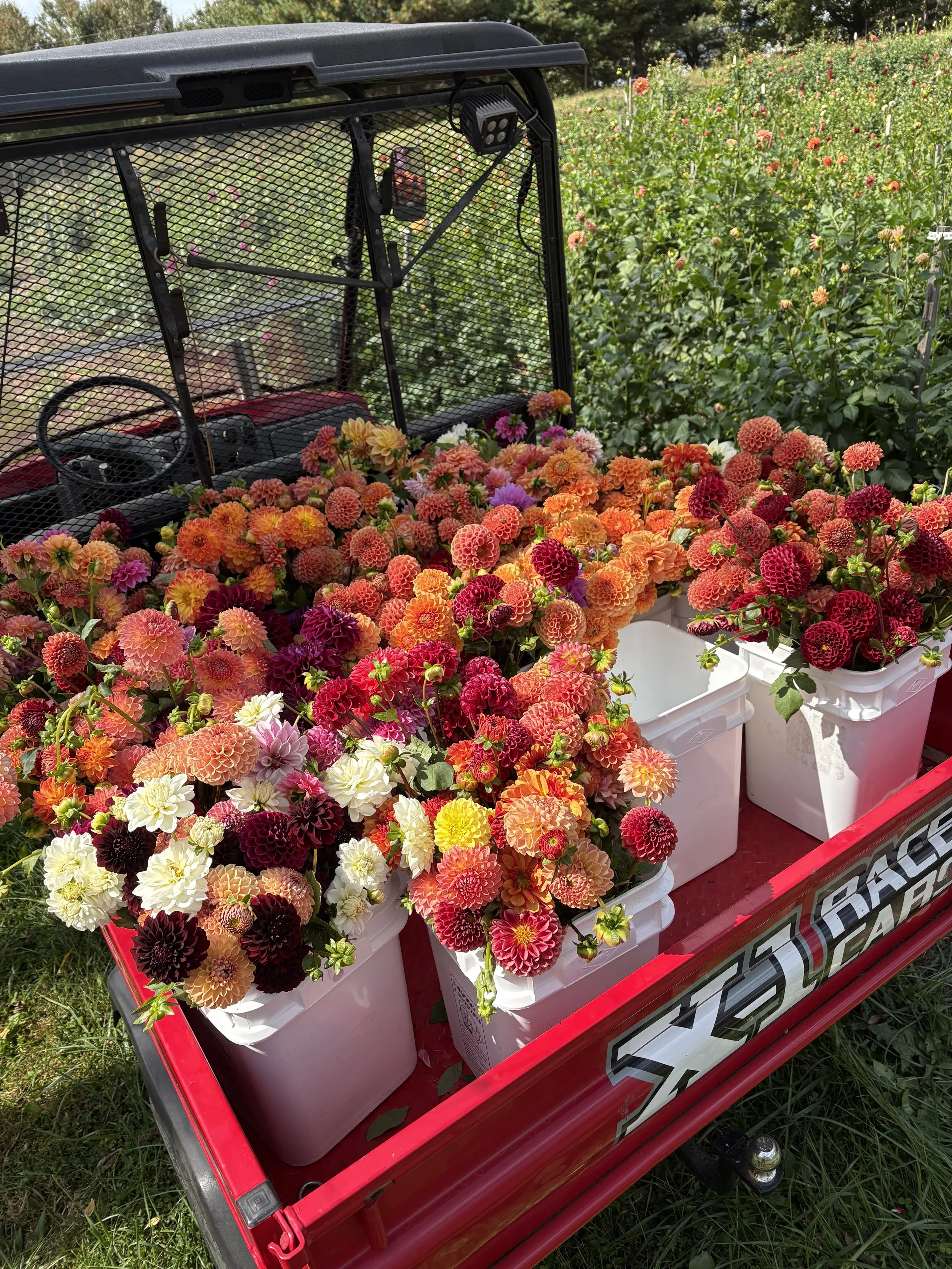 Fall Flower Club 2026