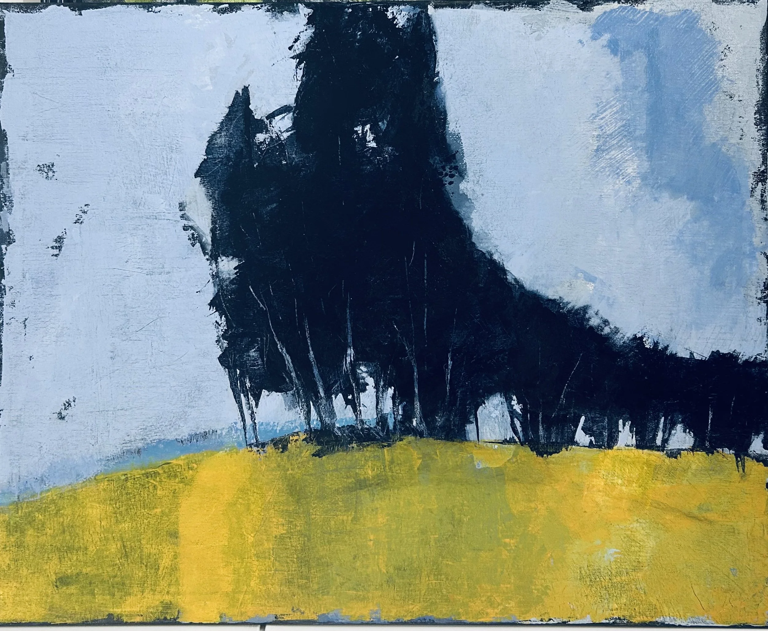 Valon ja Varjon välissä 65x81cm Acrylig painting 2026