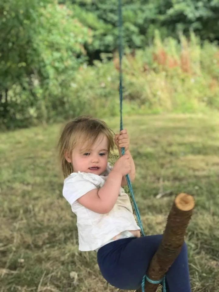 romey pic 2 tree swing.jpg