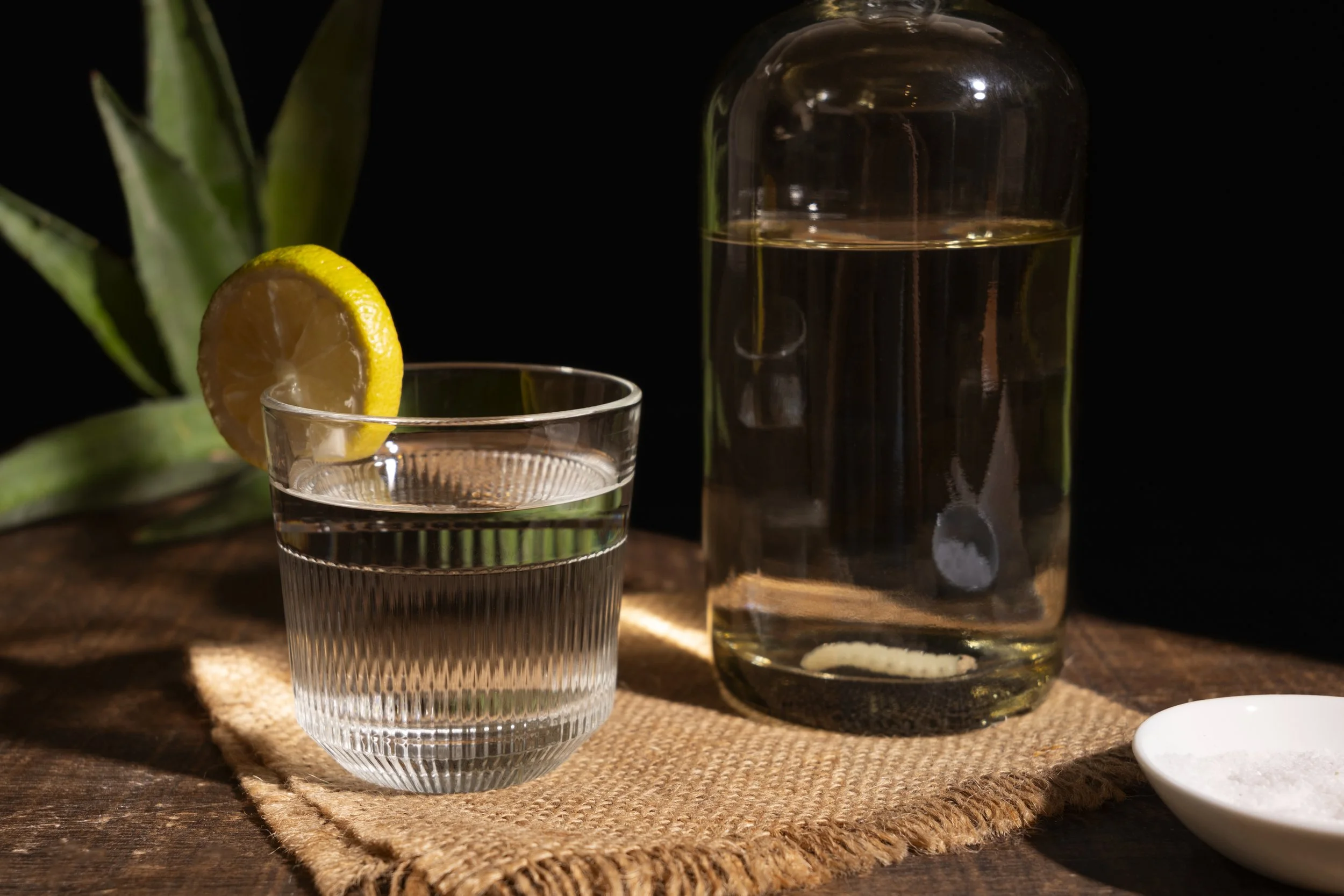 A glass of water with a lemon slice on the rim, a clear bottle of water, and a small dish of salt on a woven mat on a wooden surface, with a green plant in the background.