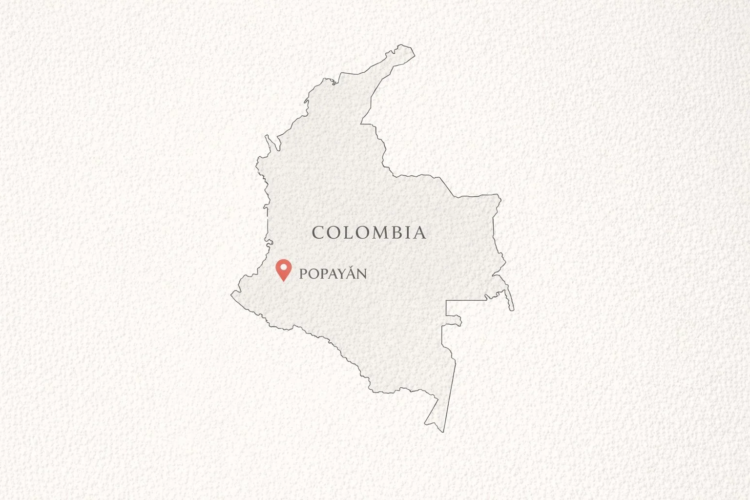 WhatsApp Image 2026-01-14 at 9.11.28 AM.jpeg