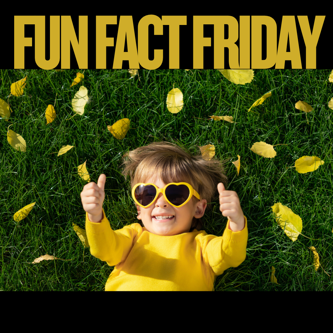 Fun Fact Friday Facebook Post
