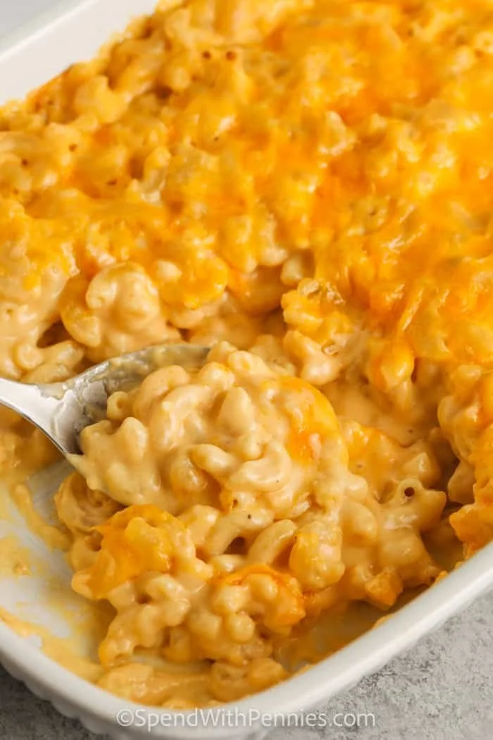 Macaroni & Cheese