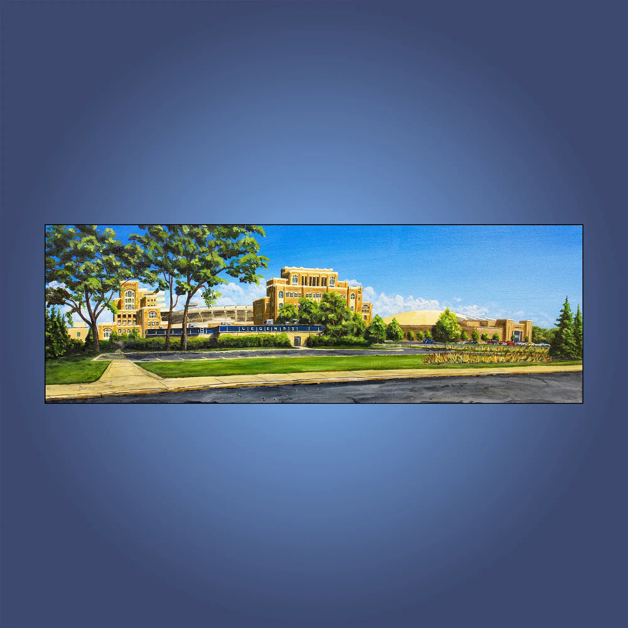 Notre Dame Stadium 10" x 30" panoramic print