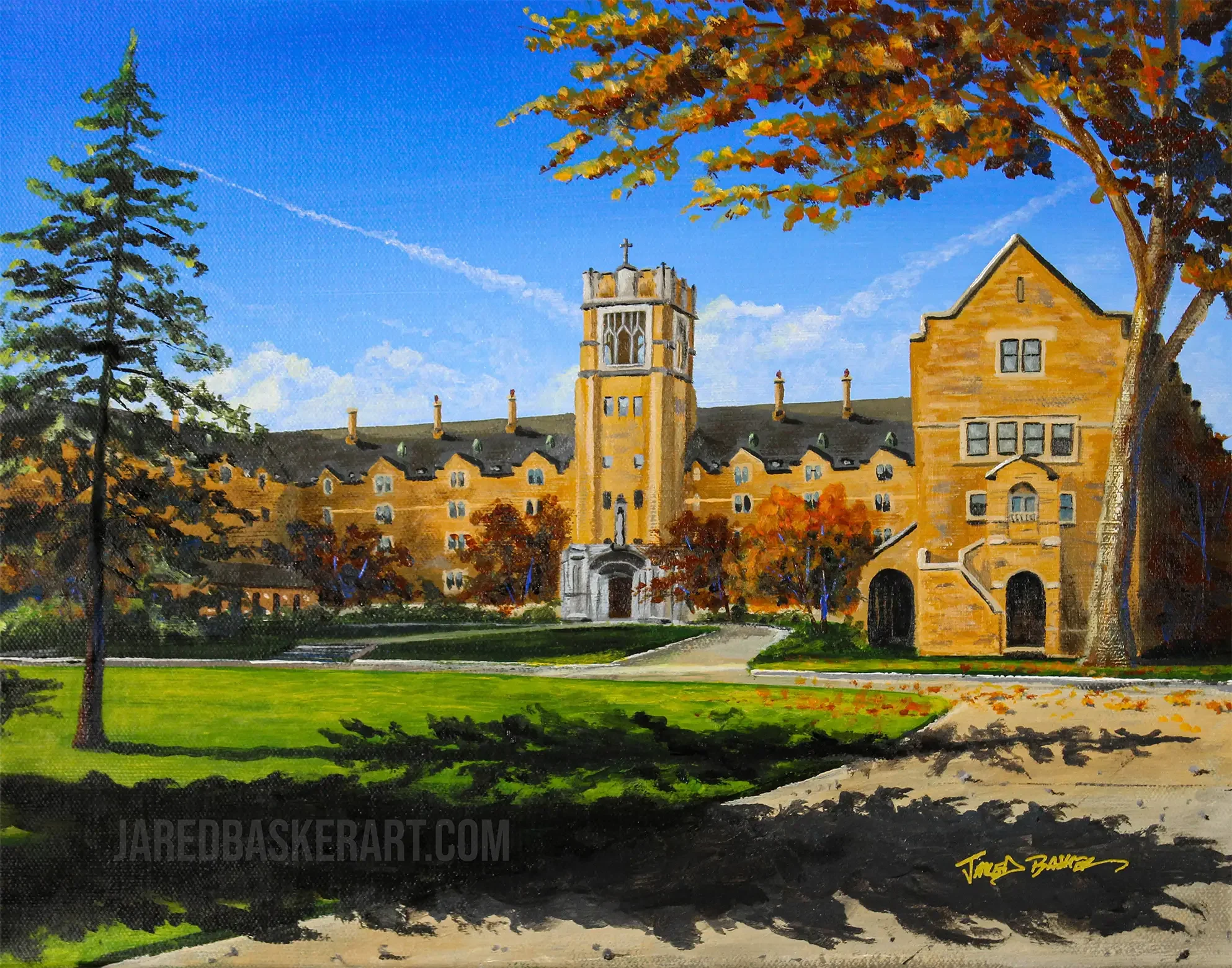 LeMans wesbite 4.webp