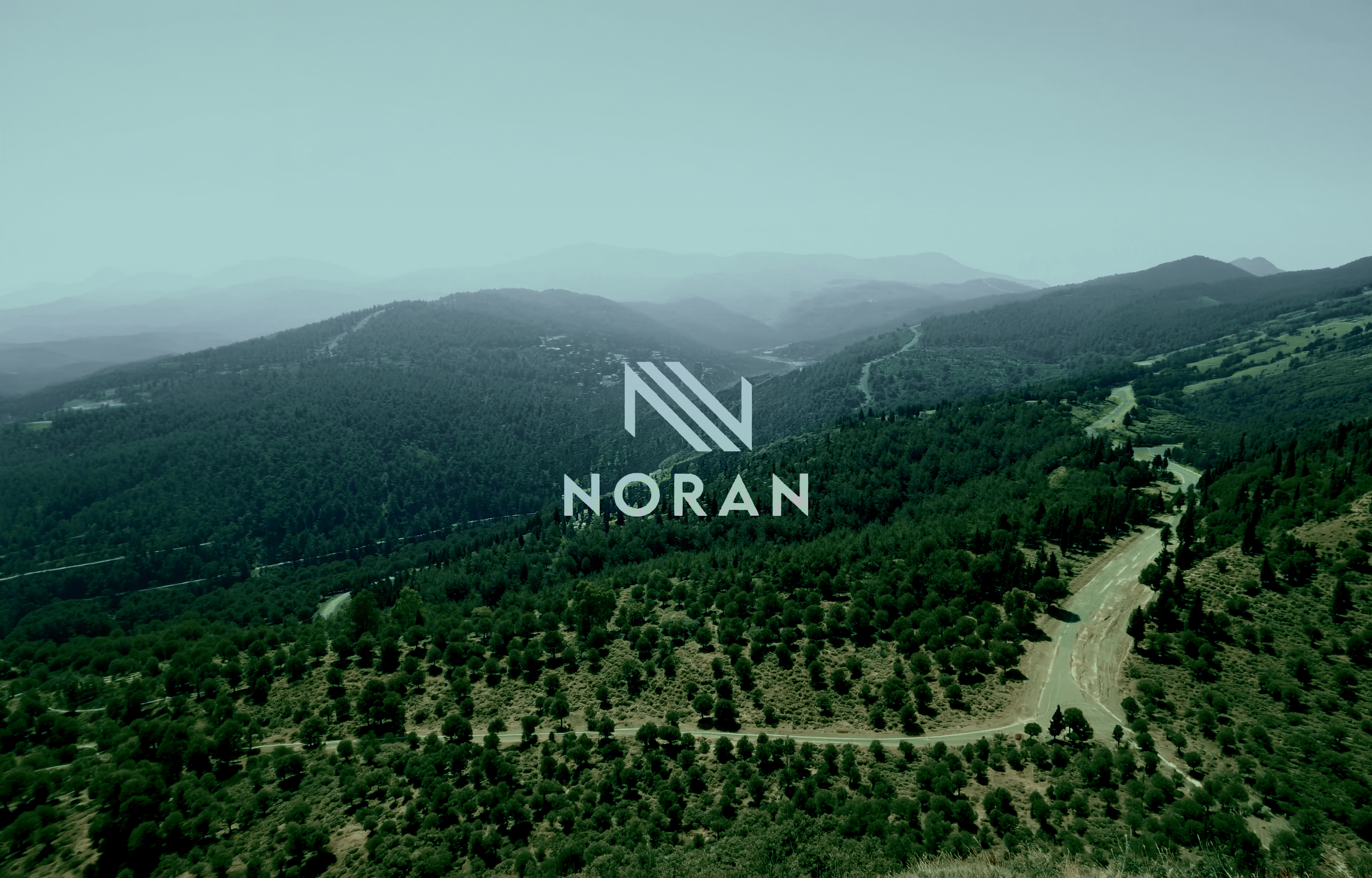 Site Promotional Video