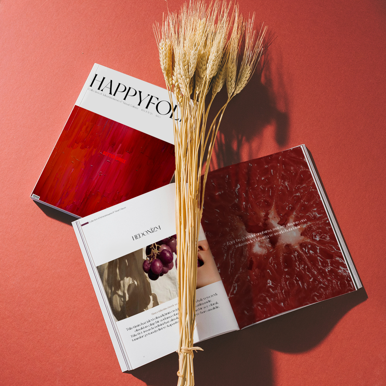Open magazine with red and white pages, featuring a large close-up of a red fruit and a smaller section with grapes, on a coral background, with a bundle of dried wheat stalks placed on top.