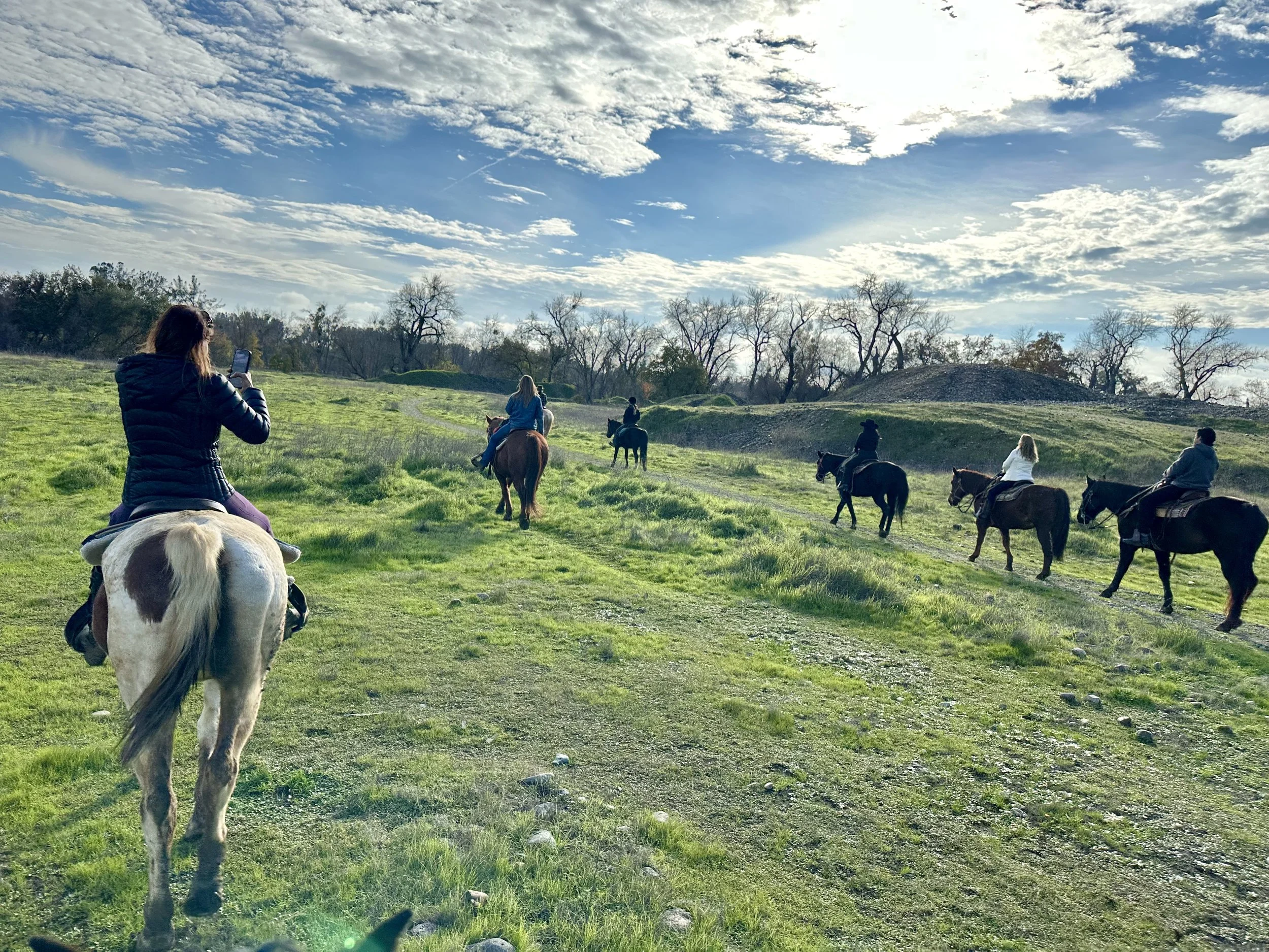 Instagram Management