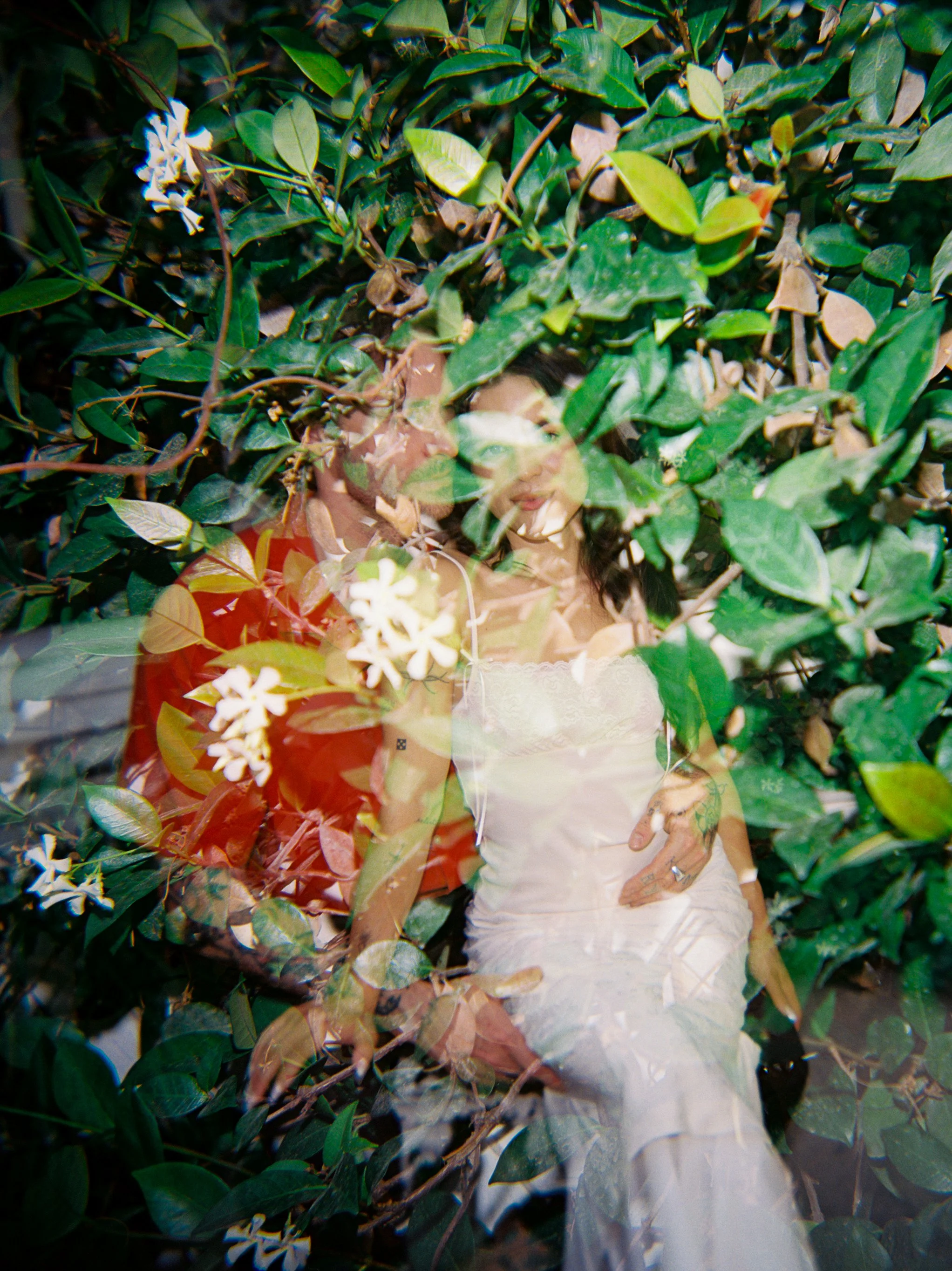 LC+cass-3.jpg