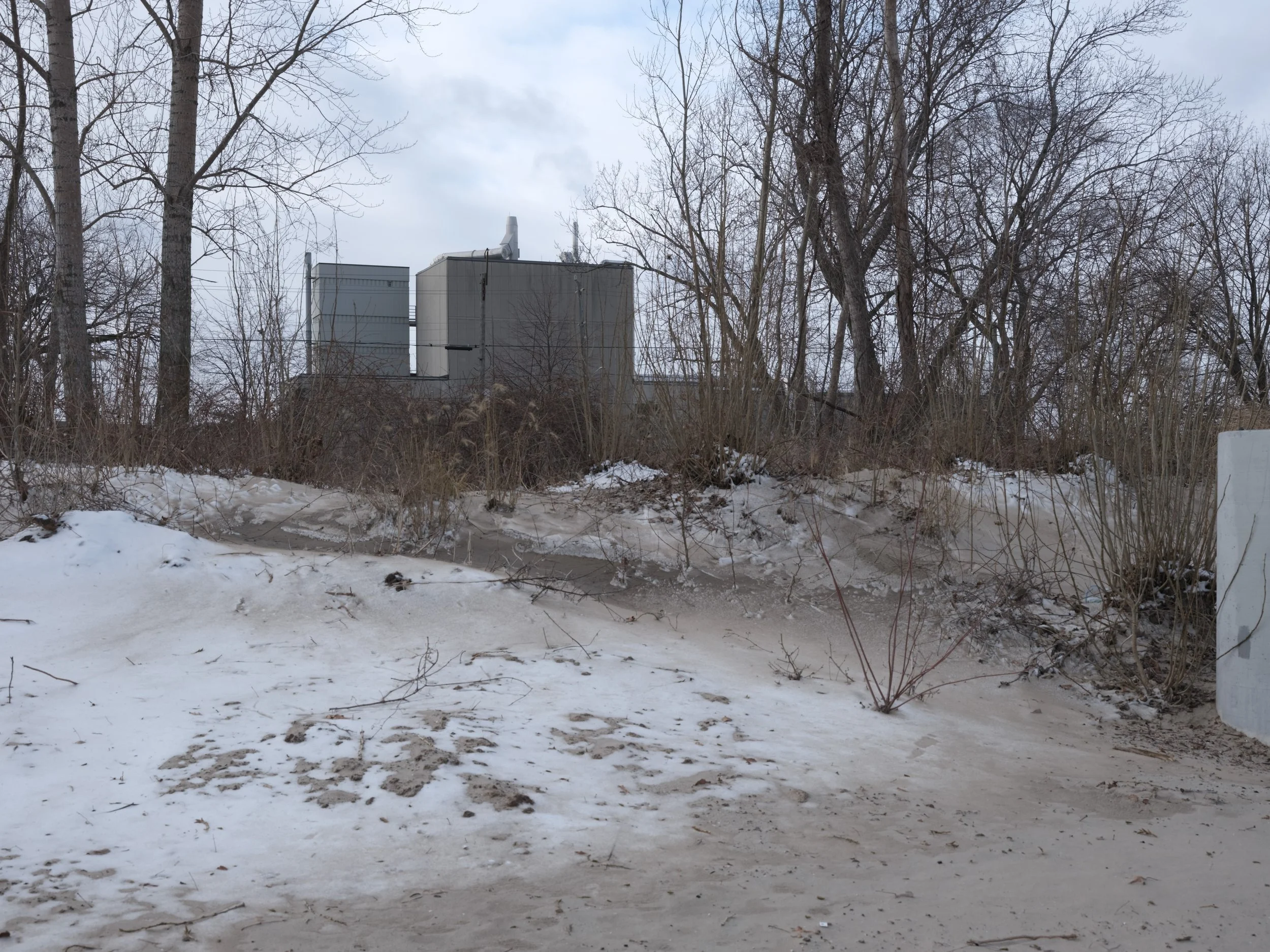 Bare trees and bushes in a snowy landscape with industrial buildings in the background under a cloudy sky.