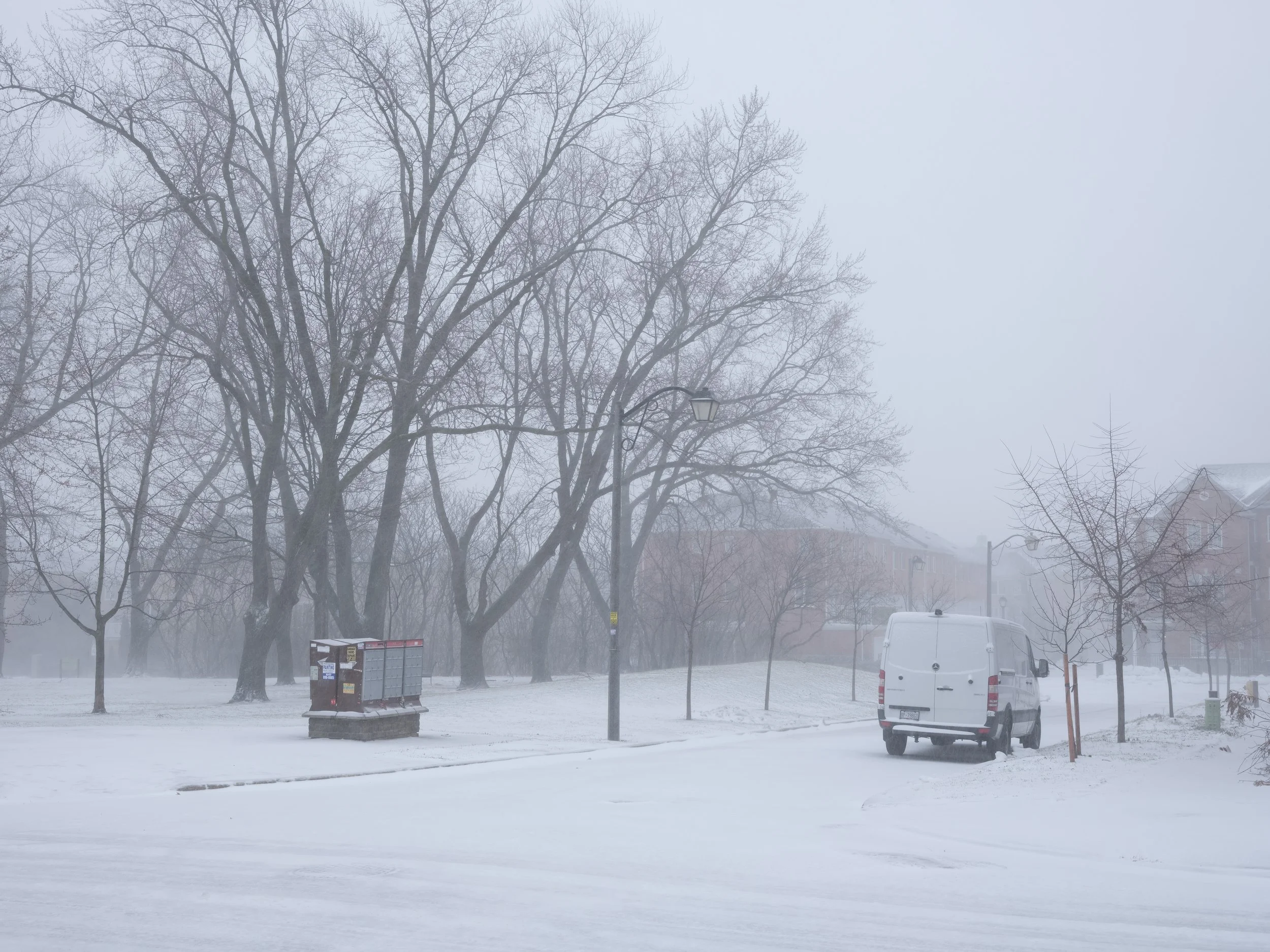 Snowy park scene with leafless trees, a white van parked on the snow-covered ground, a lamppost, and residential buildings in the background, all shrouded in fog.