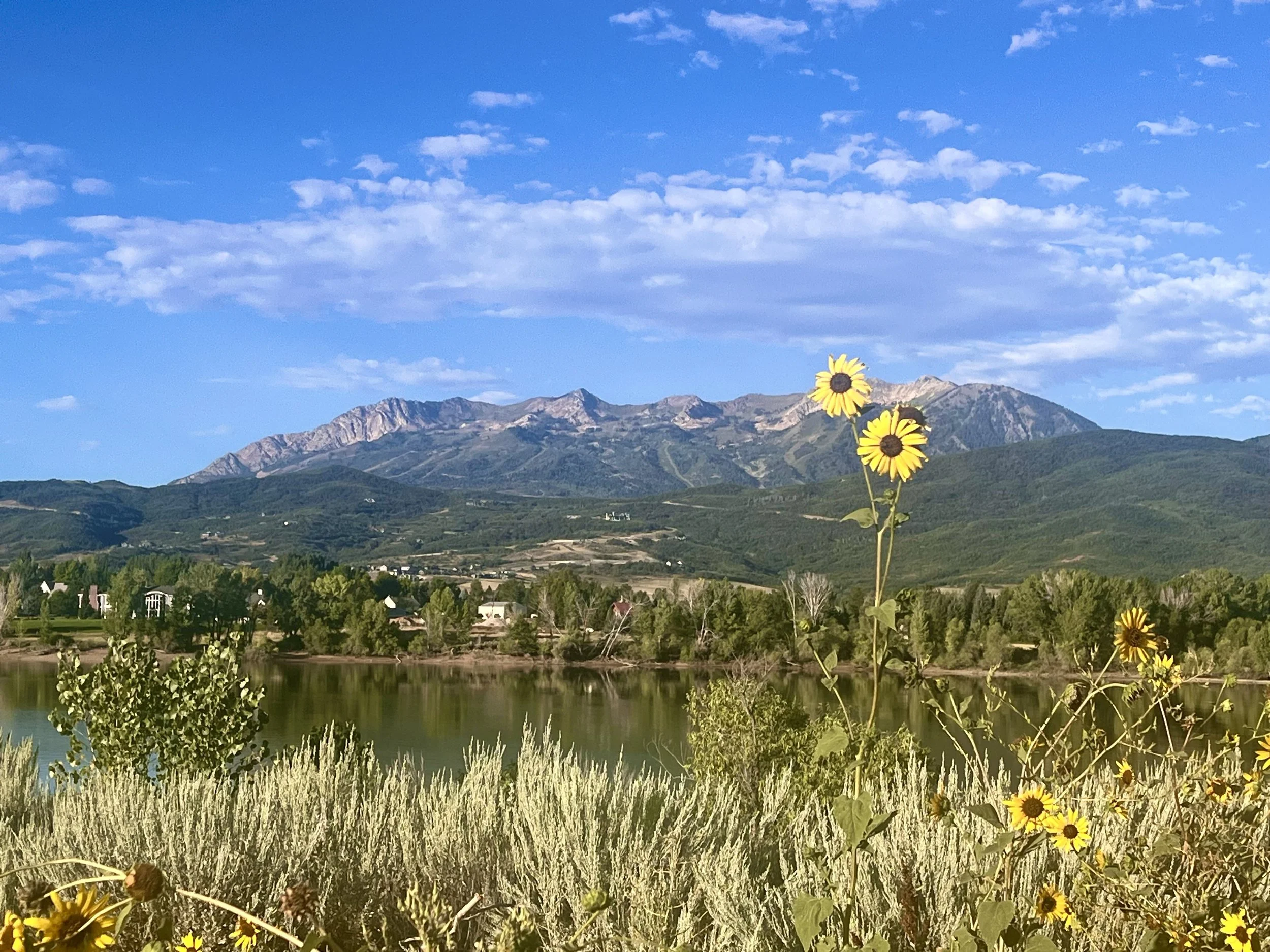 A landscape view of a mountain range with a partly cloudy sky, a calm lake, green trees, and yellow flowers in the foreground.