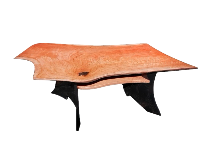 IMG_0955 copy Background Removed.png