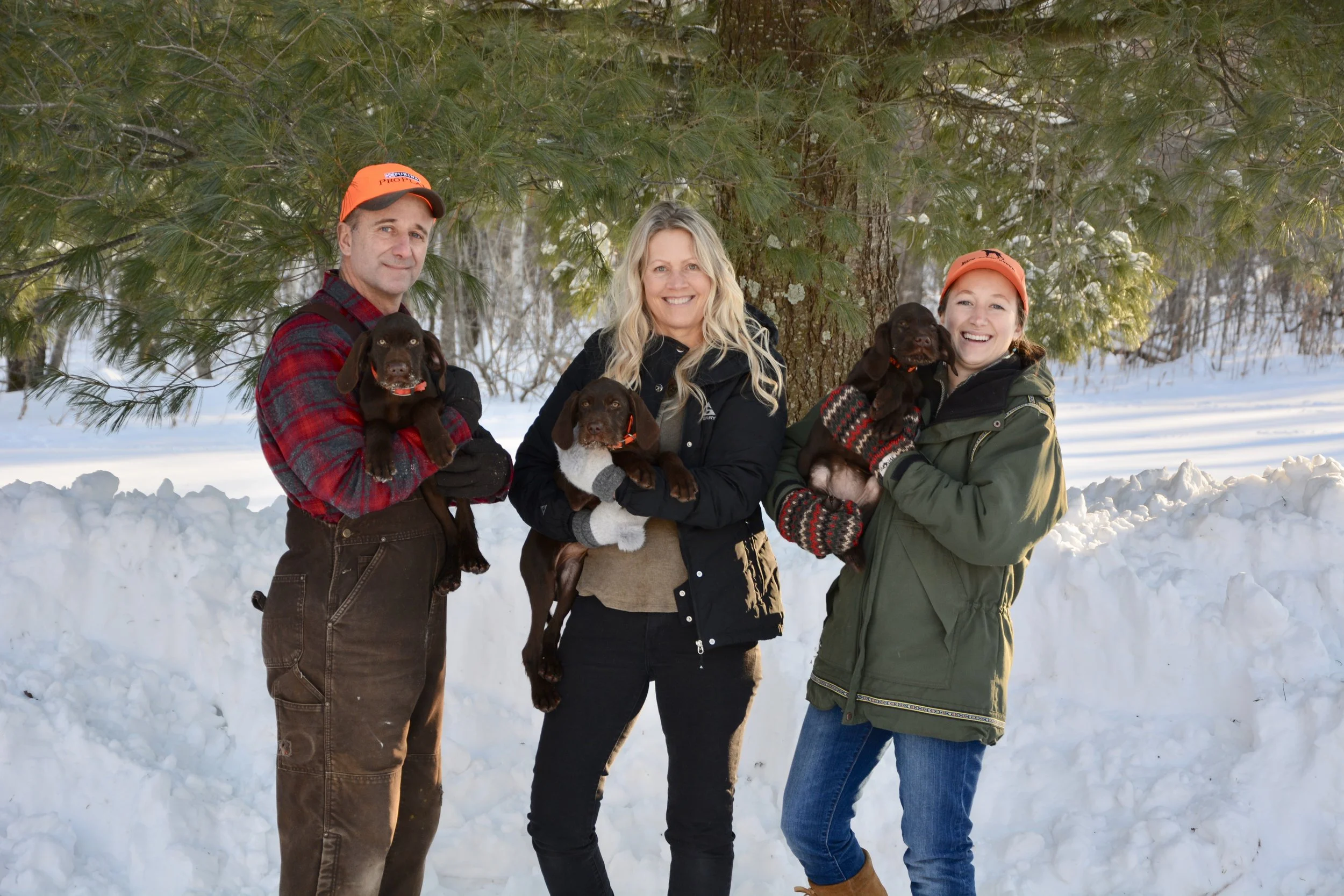 Three people, two women and a man, are outdoors in a snowy landscape, holding chocolate Lab puppies. They are dressed warmly, with the man and one woman wearing orange hats, and all are smiling. Behind them is a large evergreen tree and a snow-covered ground.