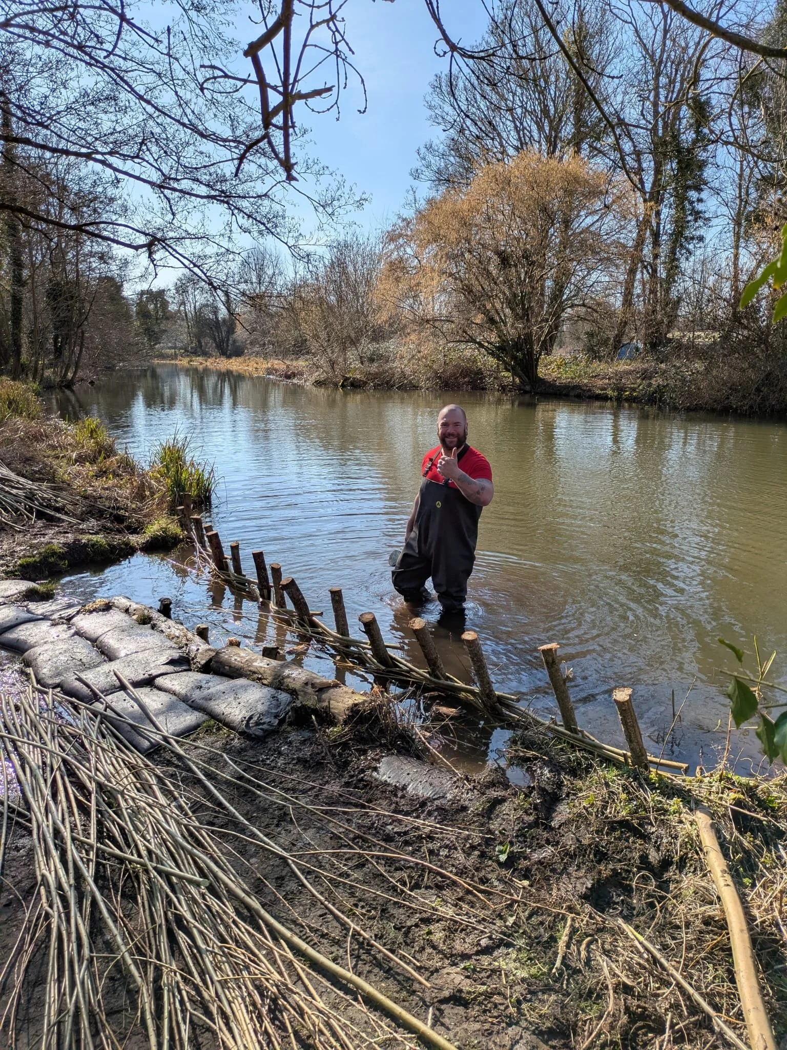 A man standing in a river giving a thumbs-up, surrounded by trees, with live willow spilling barrier to protect the riverbank.