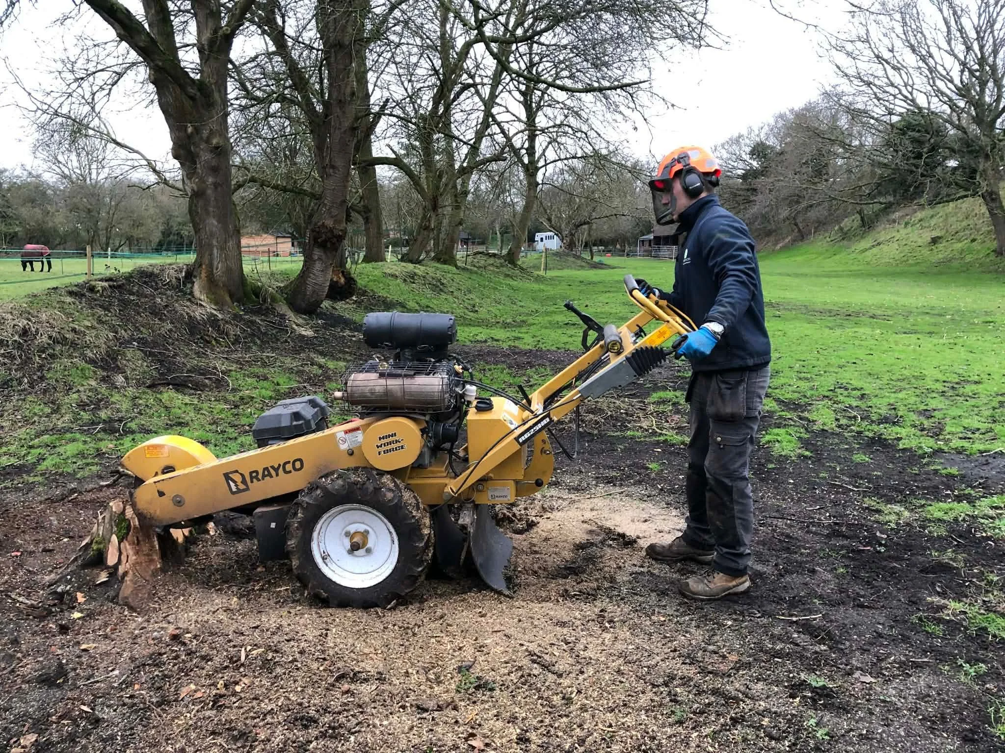 stump grinding bristol