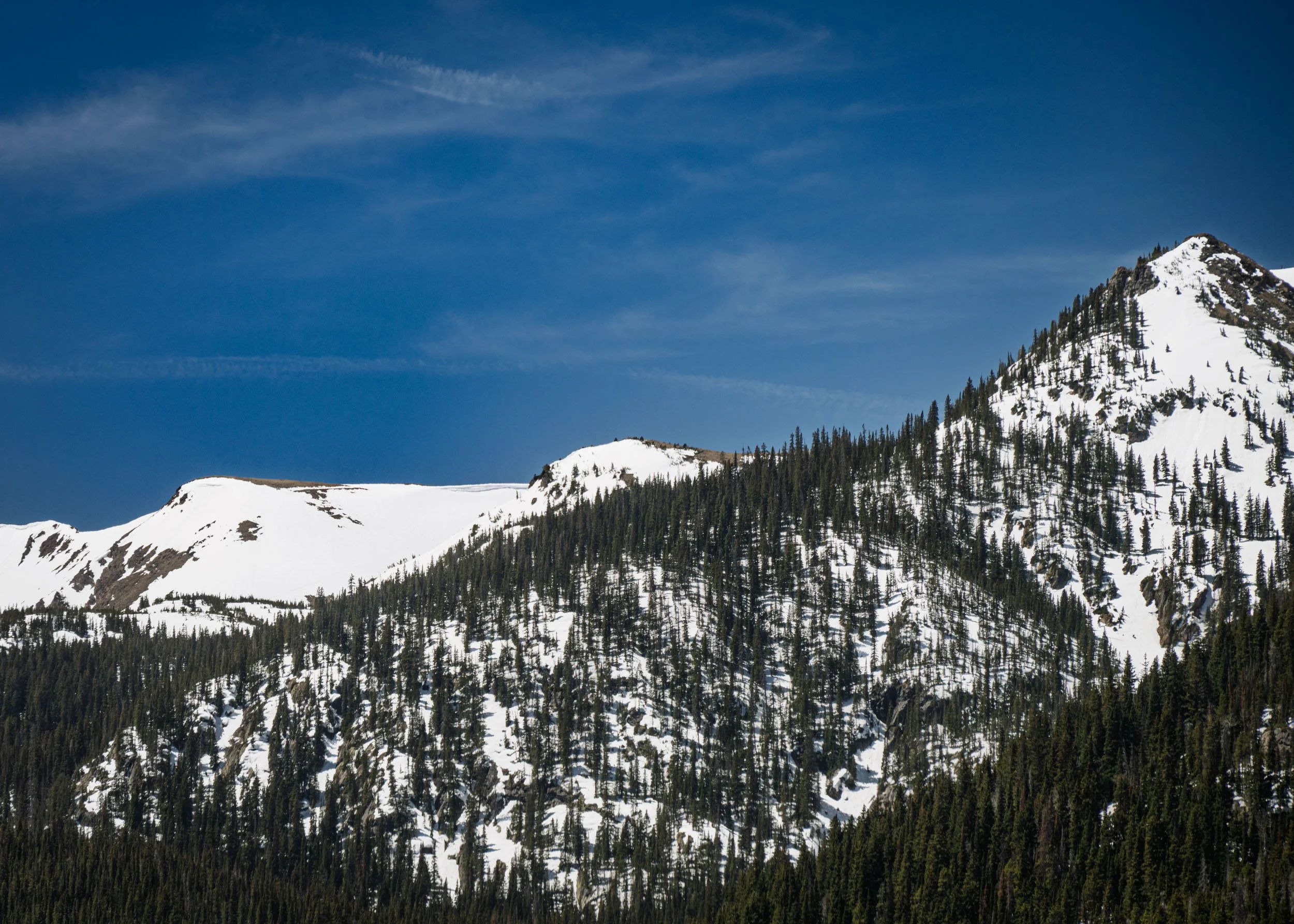 co-rockies-04272025-35.jpg