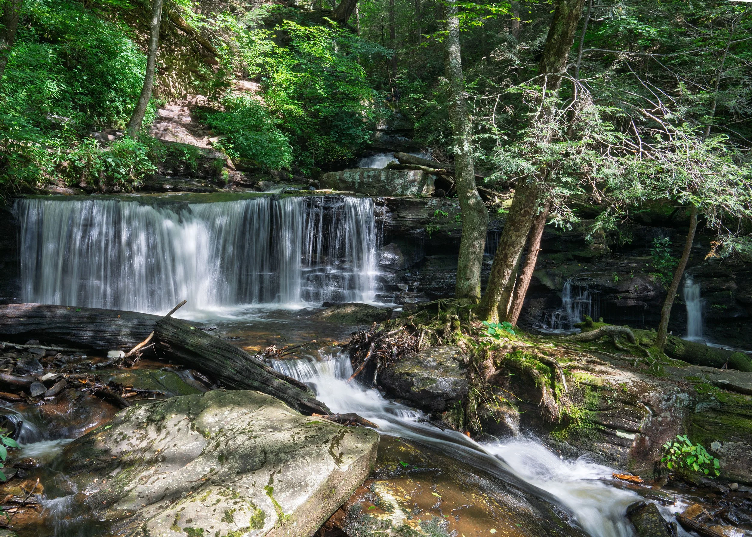 Ricketts-Glen-08232024_29.jpg