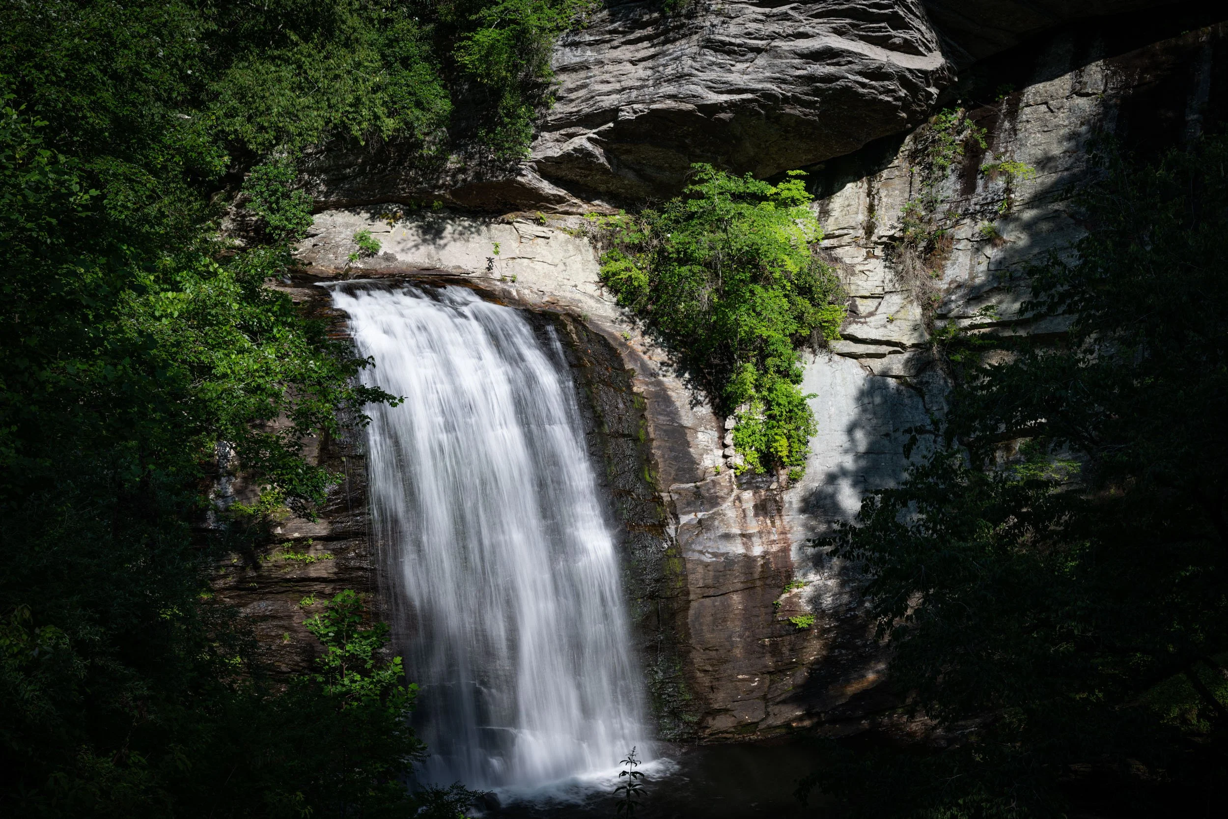 brevard-nc06292026-03.jpg
