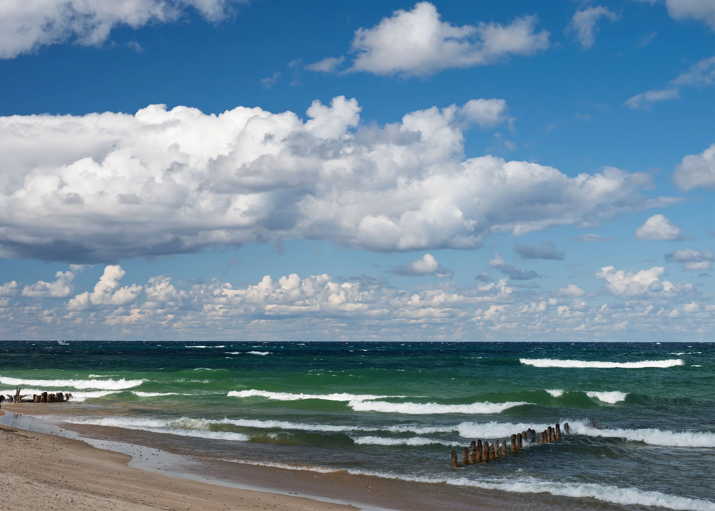 Whitefish-Point10012024_10.jpg