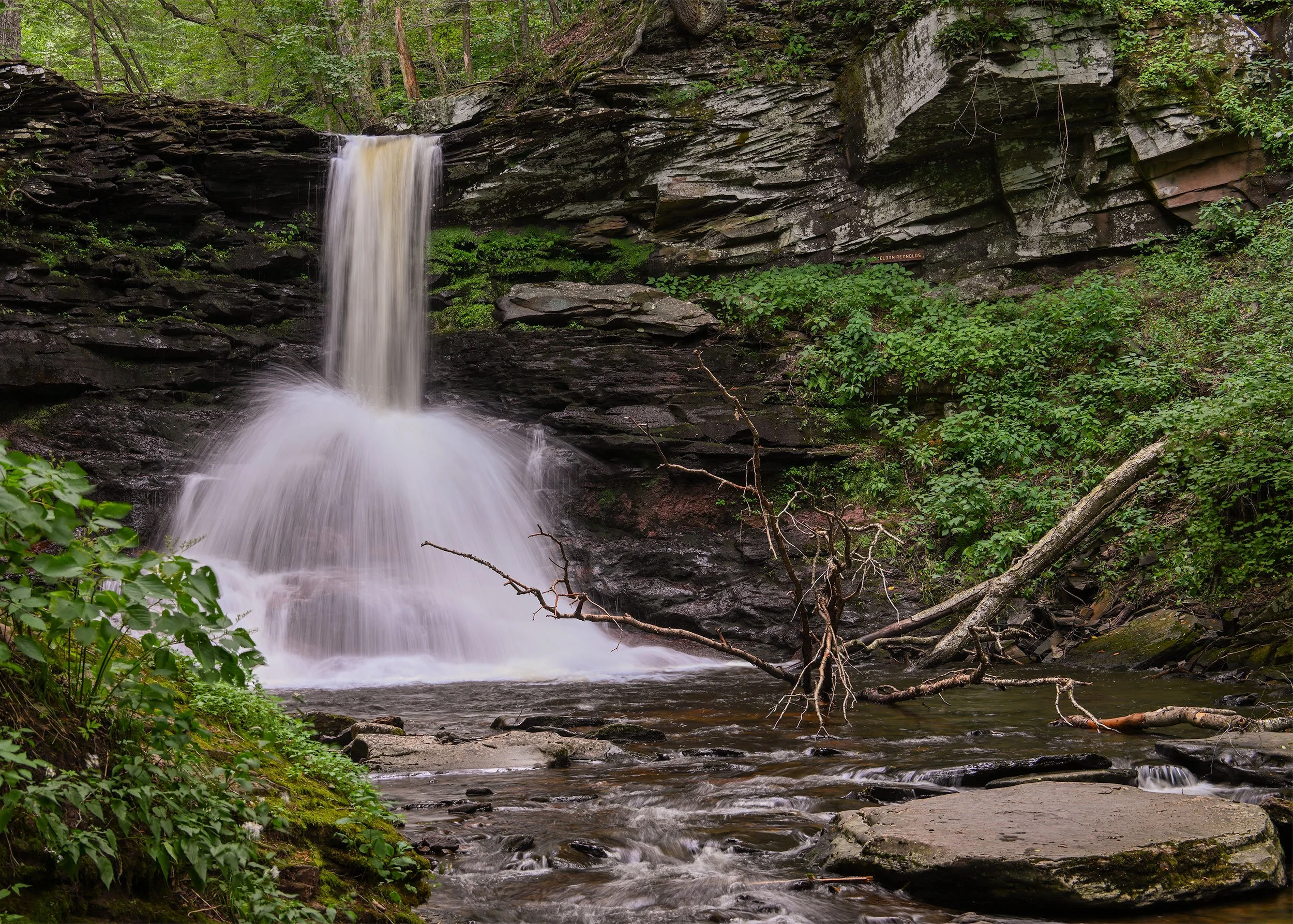 Ricketts-Glen-08232024_16.jpg