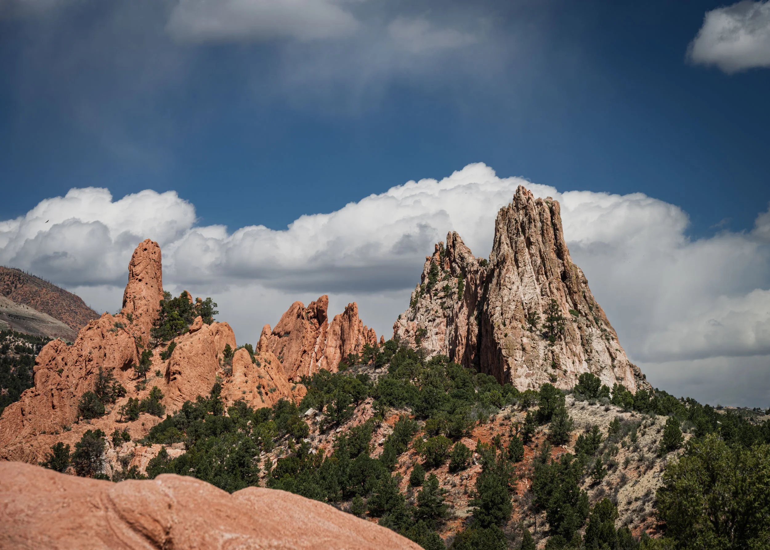 garden-of-gods-04282025-42.jpg