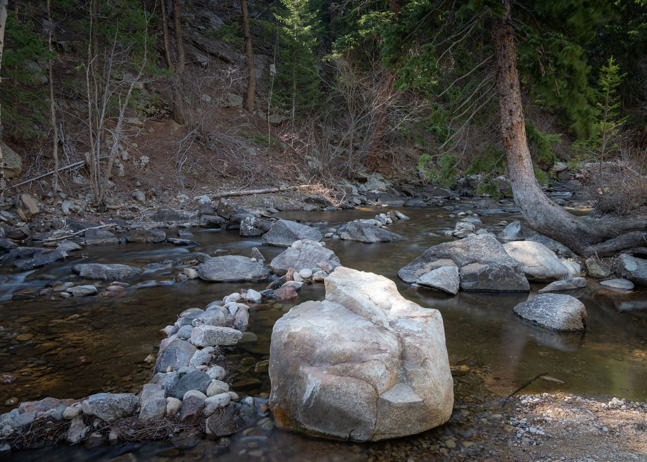 Colorado Rockies, CO - May 2025