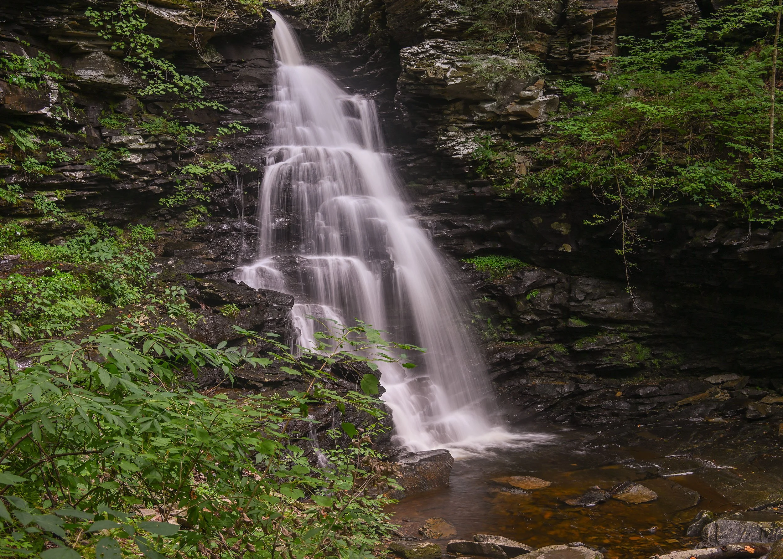 Ricketts-Glen-08232024_23.jpg