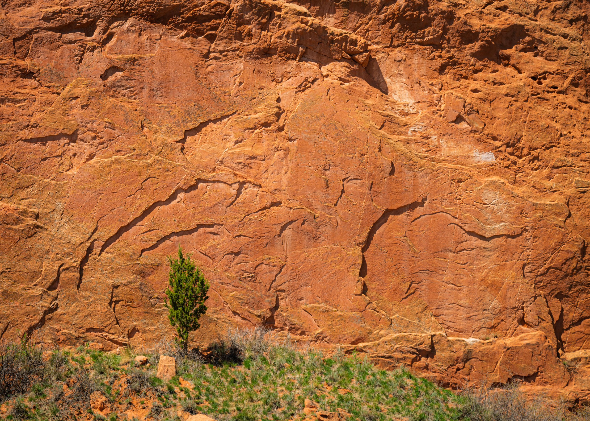 garden-of-gods-04282025-38.jpg