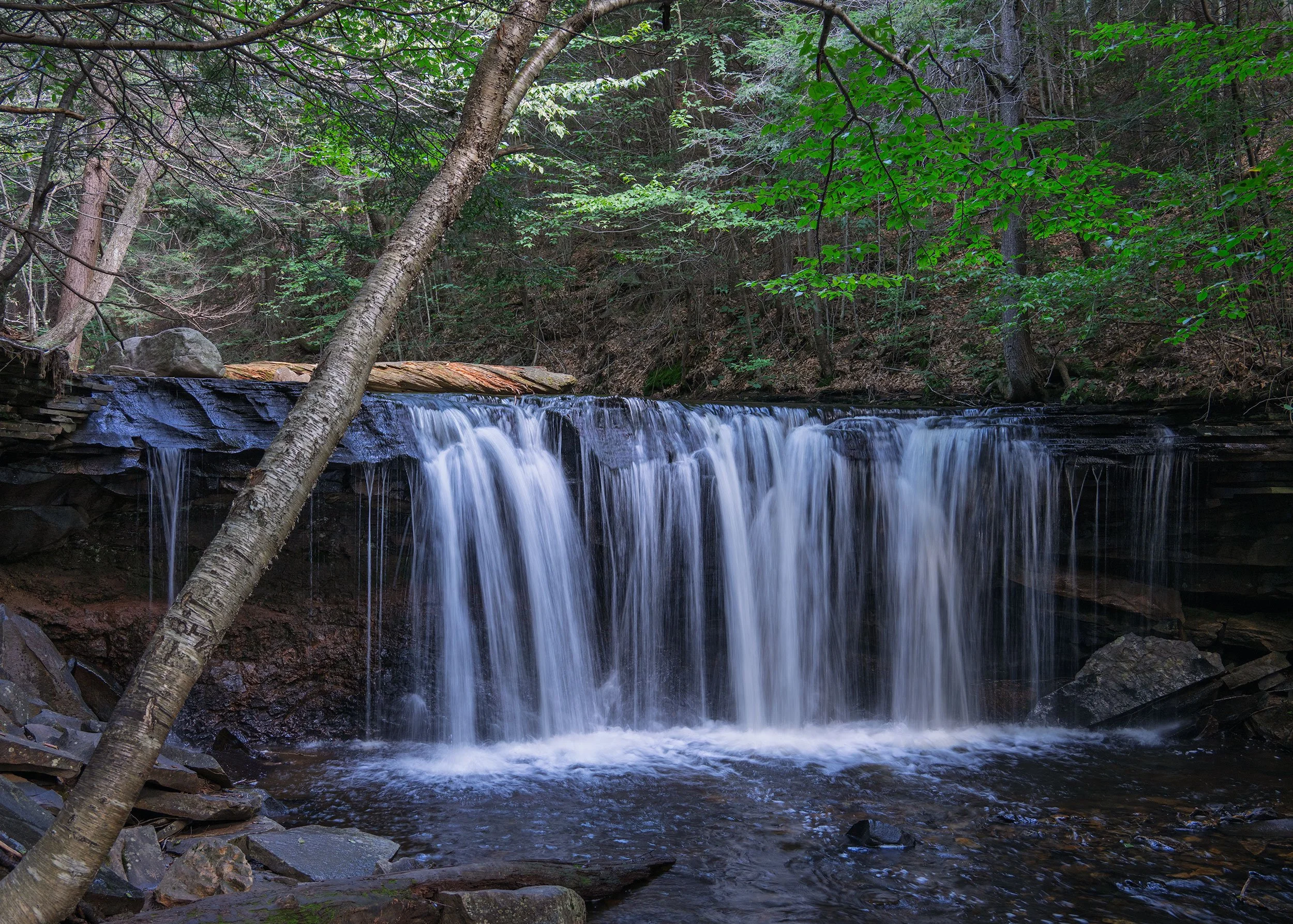 Ricketts-Glen-08232024_27.jpg
