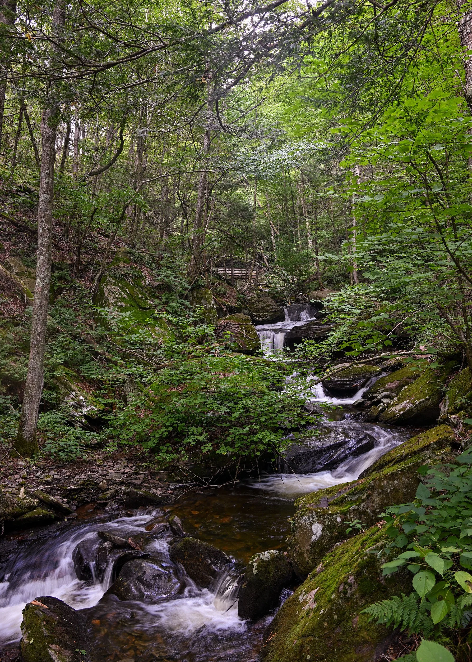 Ricketts-Glen-08232024_20.jpg