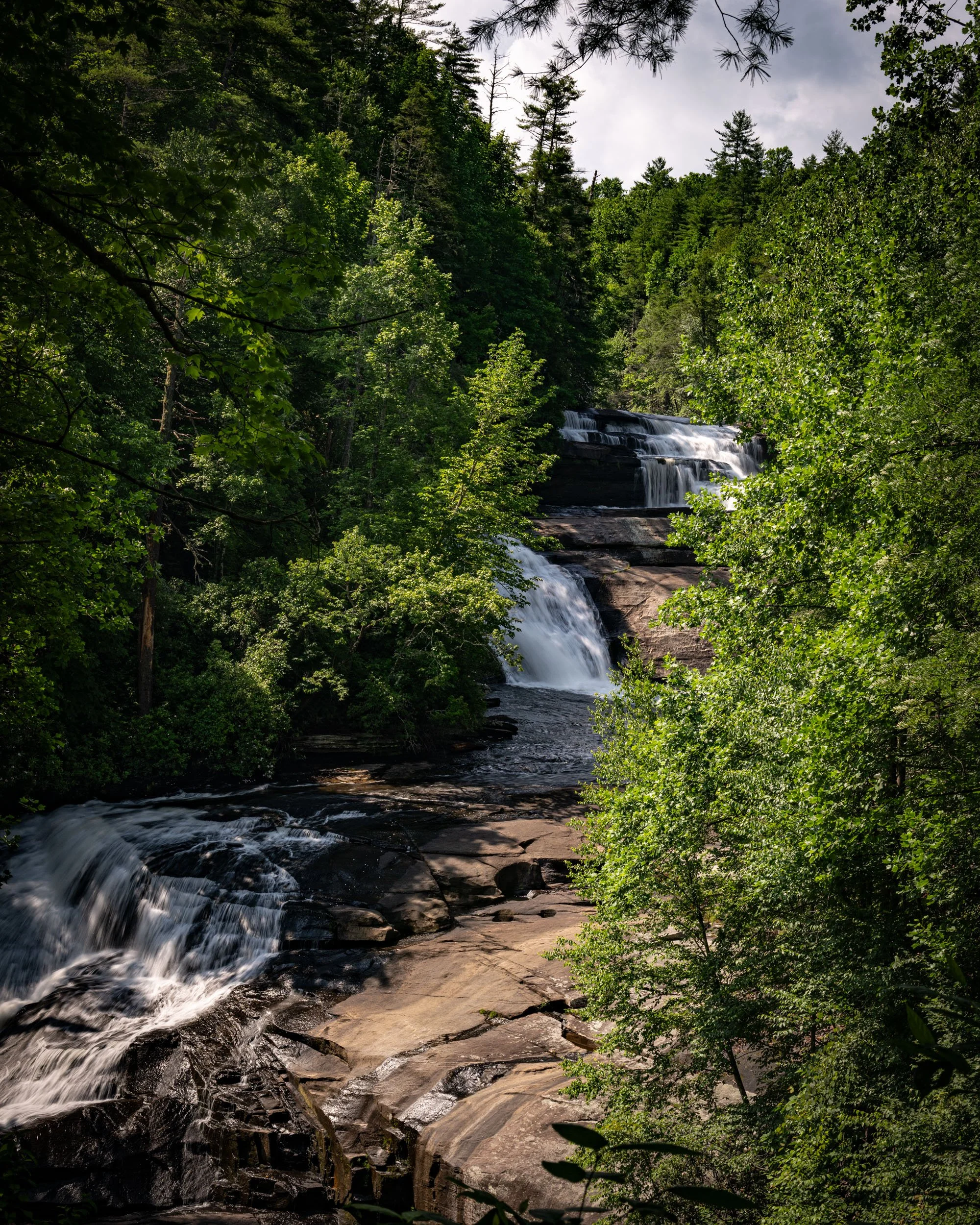 brevard-nc06302026-05.jpg