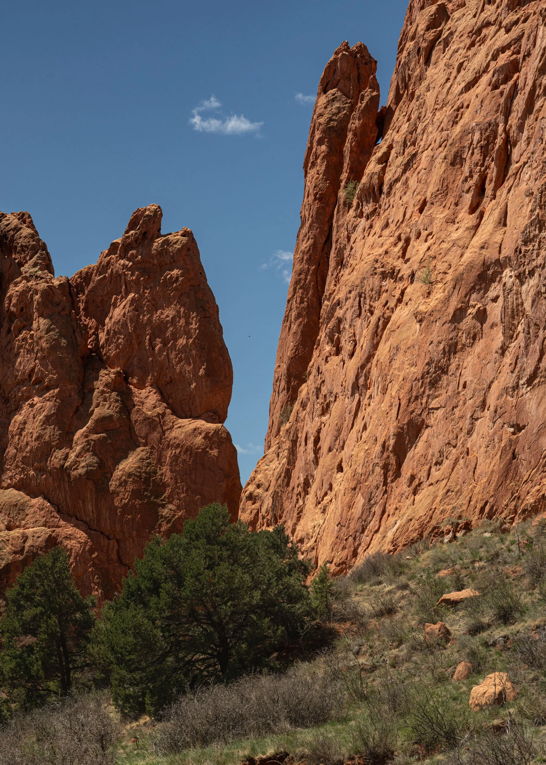 garden-of-gods-04282025-39.jpg