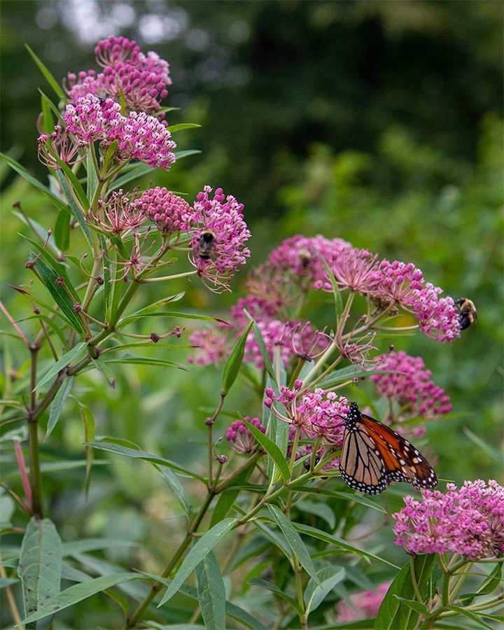 Taughannock Falls30July2021003.jpg