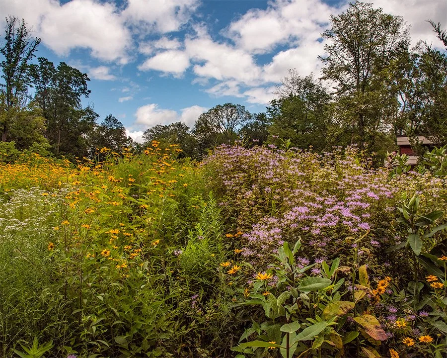 Taughannock Falls30July2021001.jpg