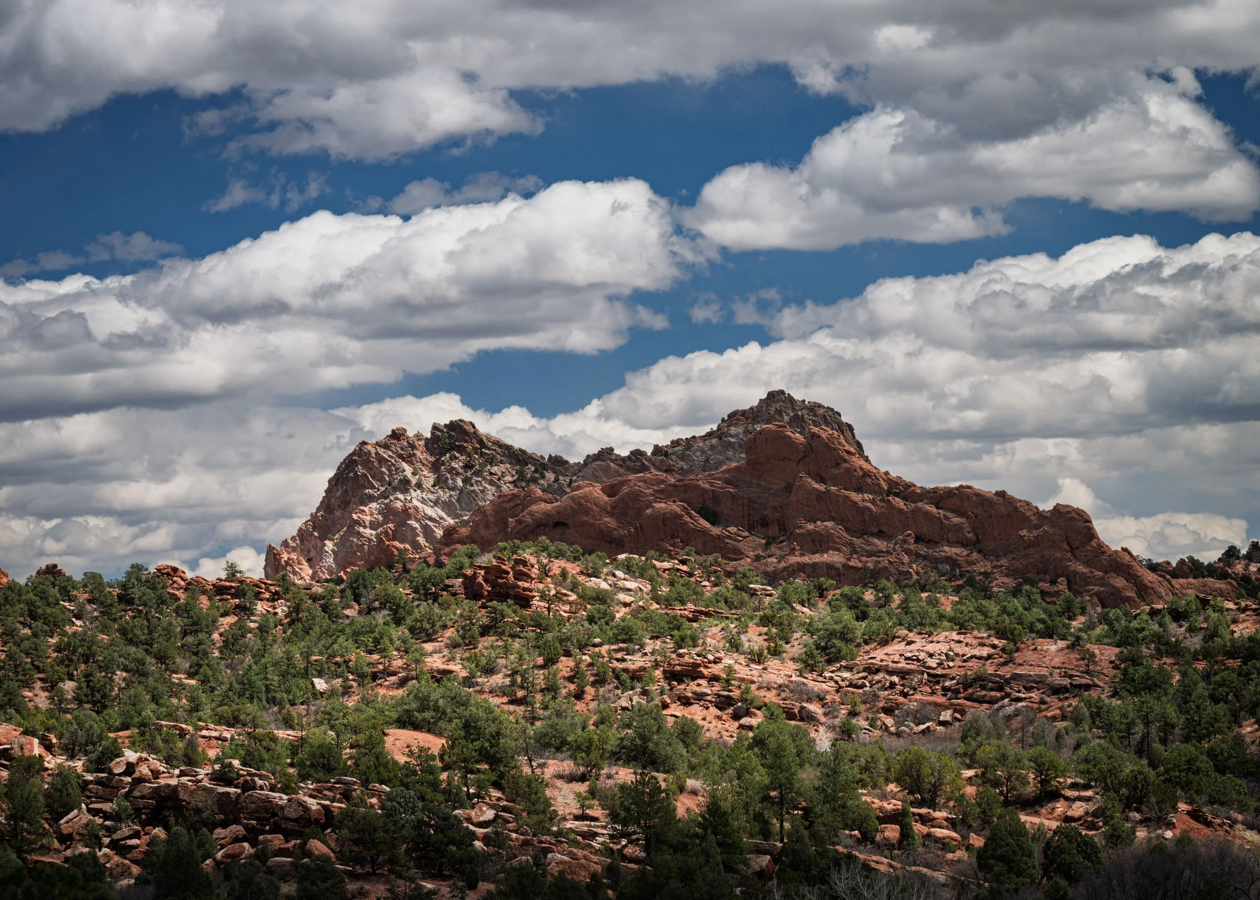 garden-of-gods-04282025-44.jpg