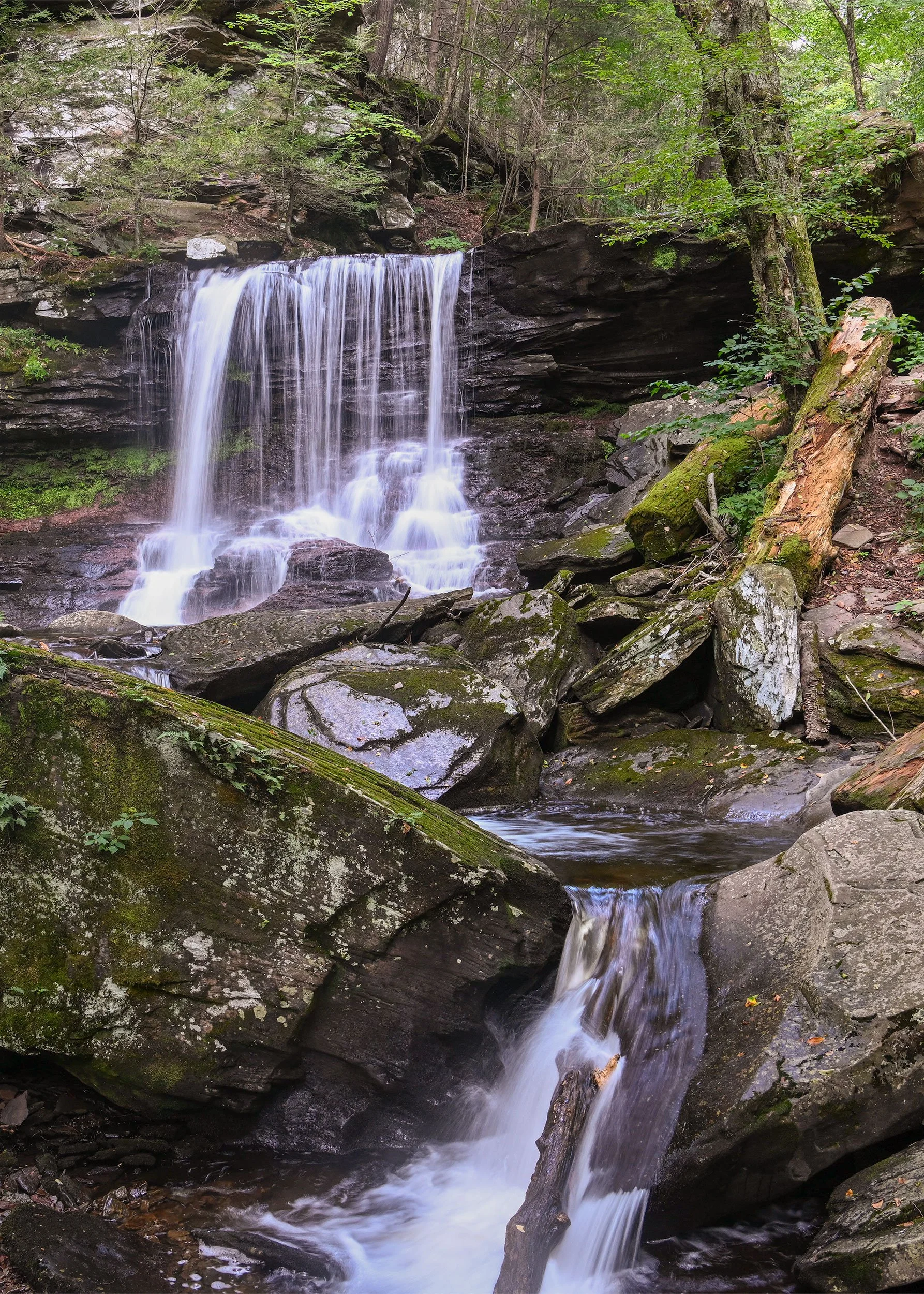 Ricketts-Glen-08232024_17.jpg